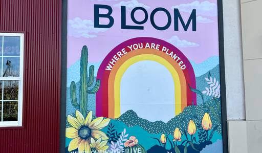 Bloom Where You Are Planted