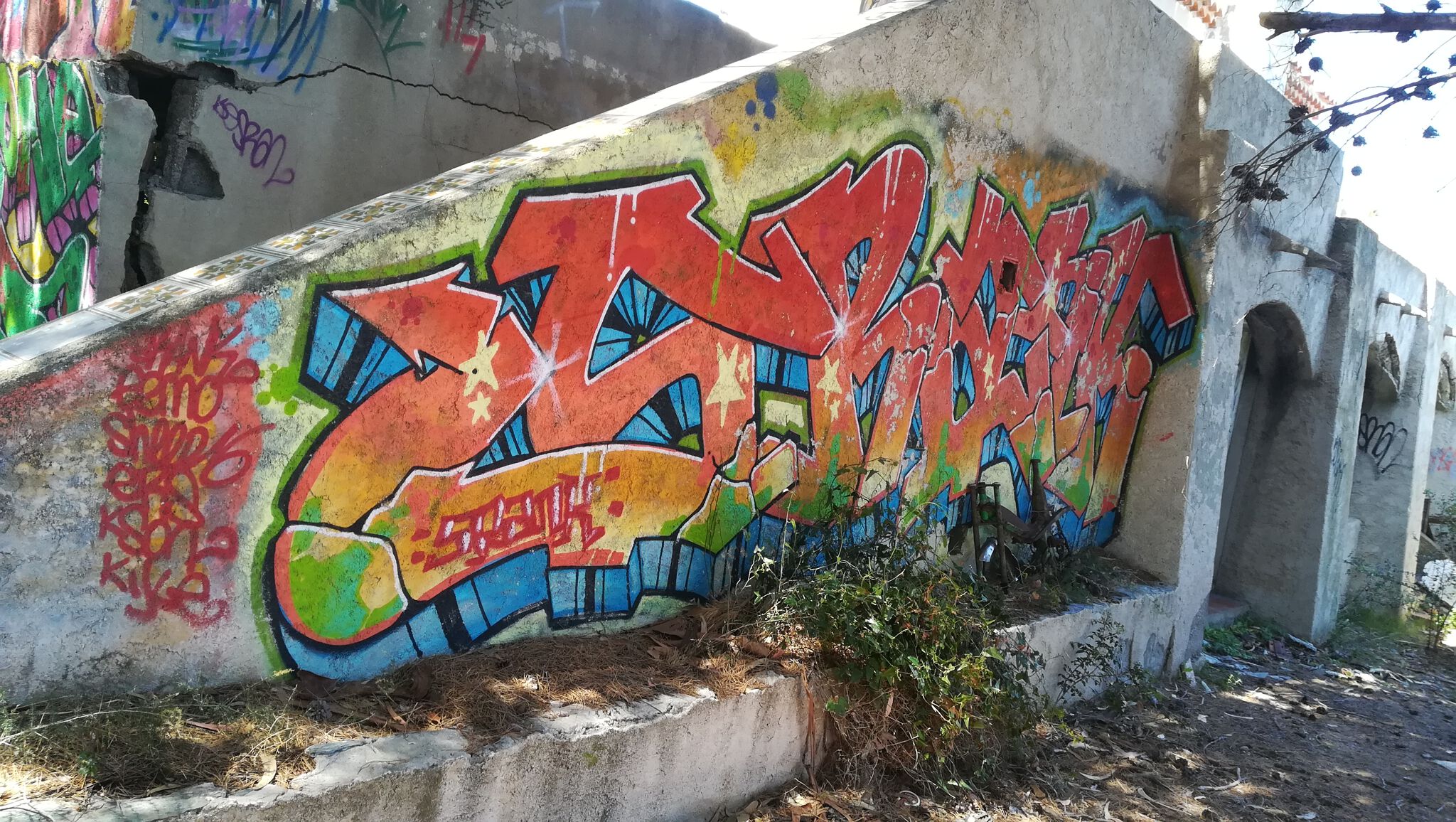 Srank&mdash;Wild Style Graffiti