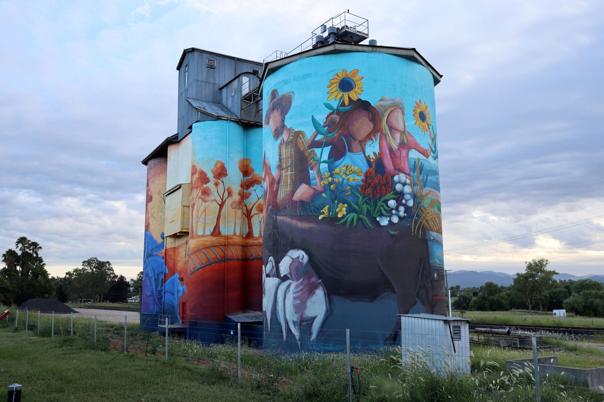 Peter Ryan&mdash;Quirindi Silo Art