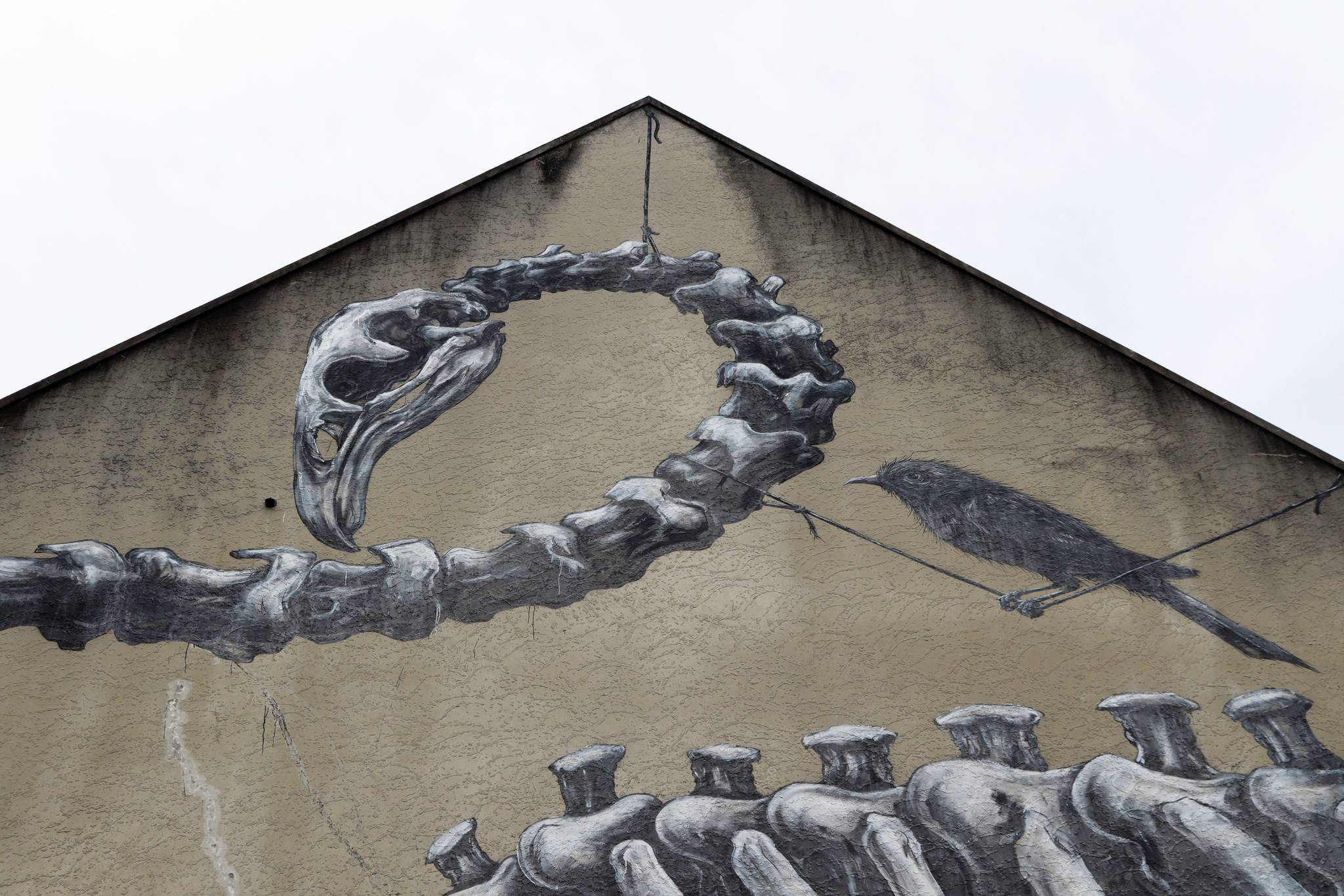 ROA&mdash;Moa