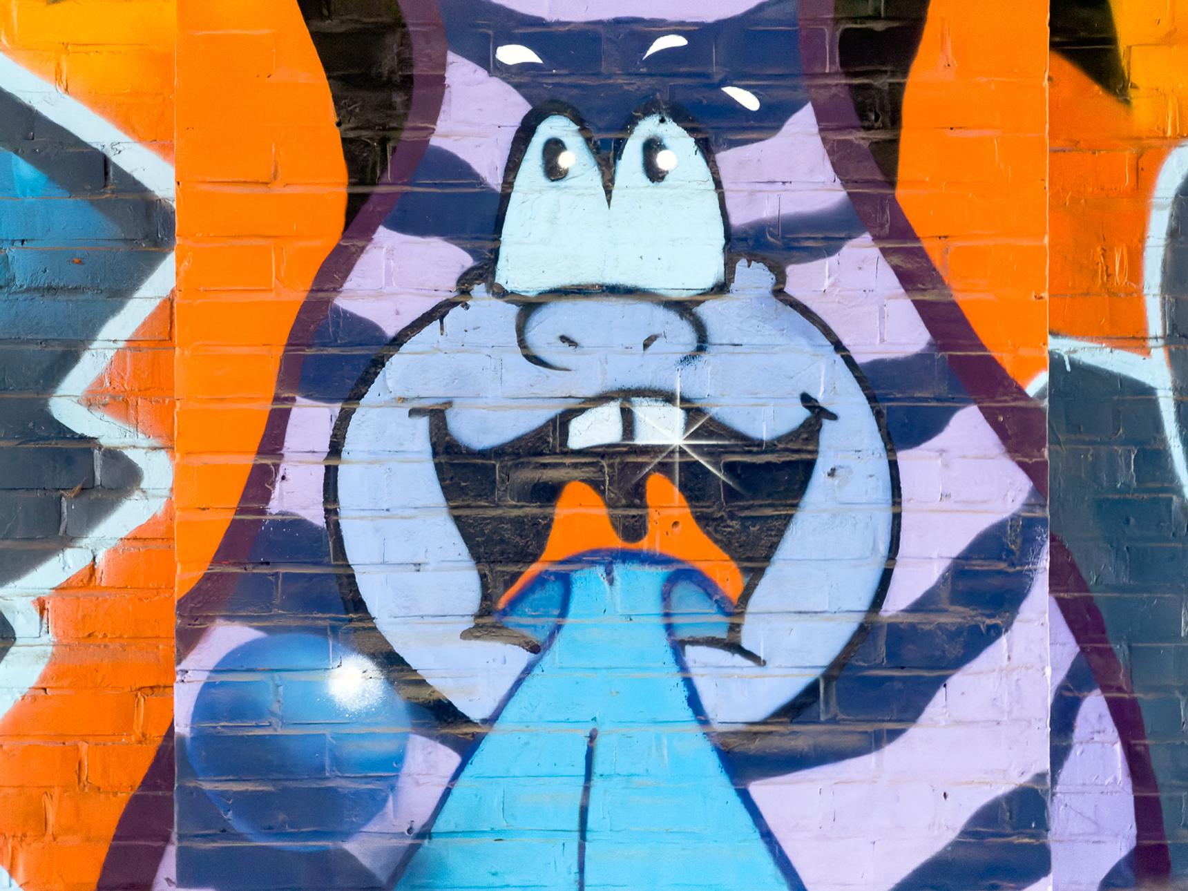 Unknown - Braunschweig—Unknown