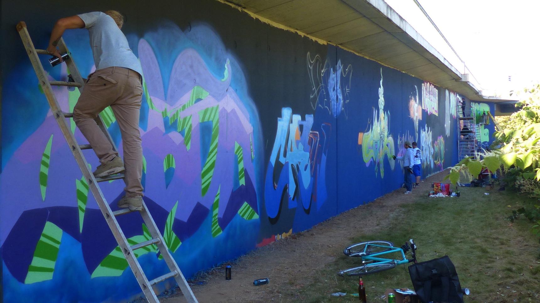 —Graffiti Gallery - Toulouser Allee Trainline