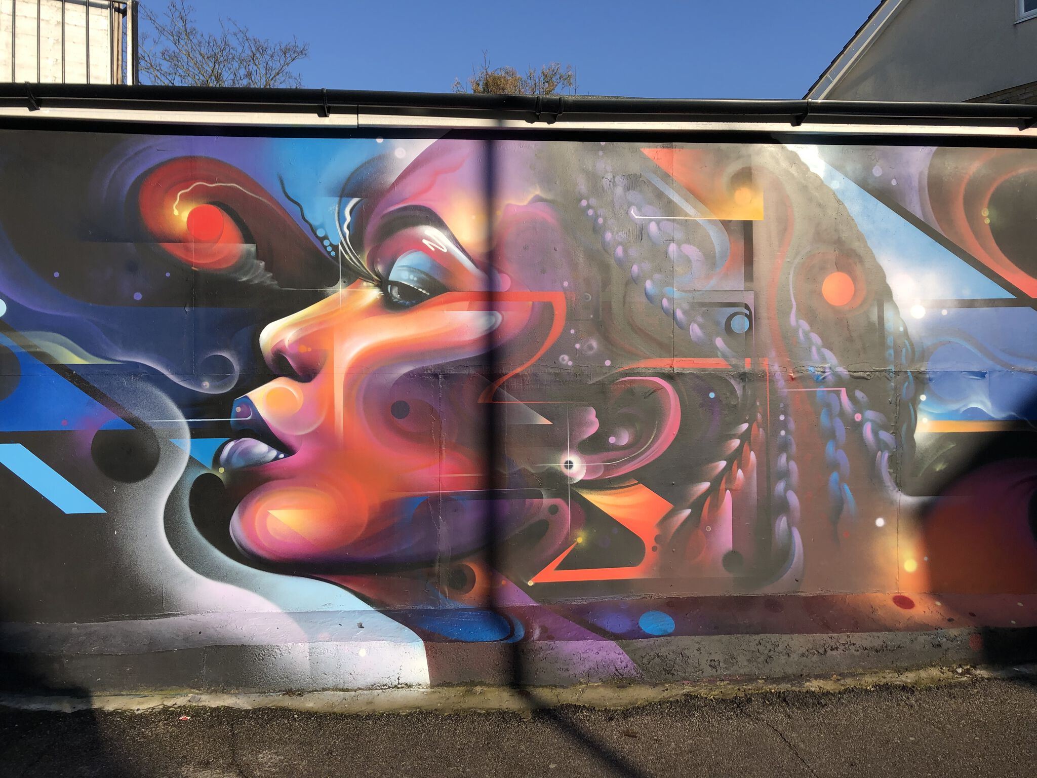 Mr Cenz&mdash;Stunning Lady Mural