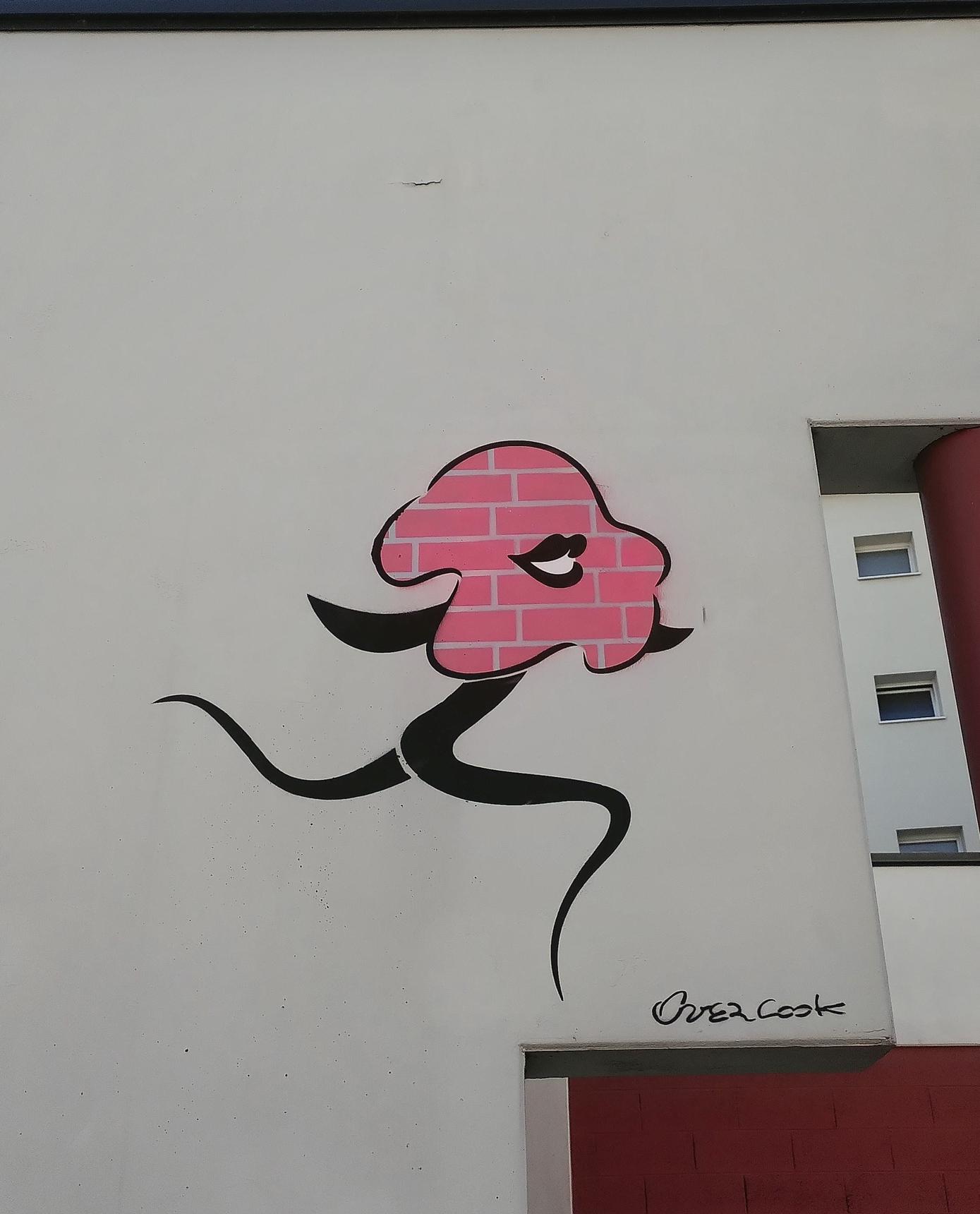 overcook—Flower motif