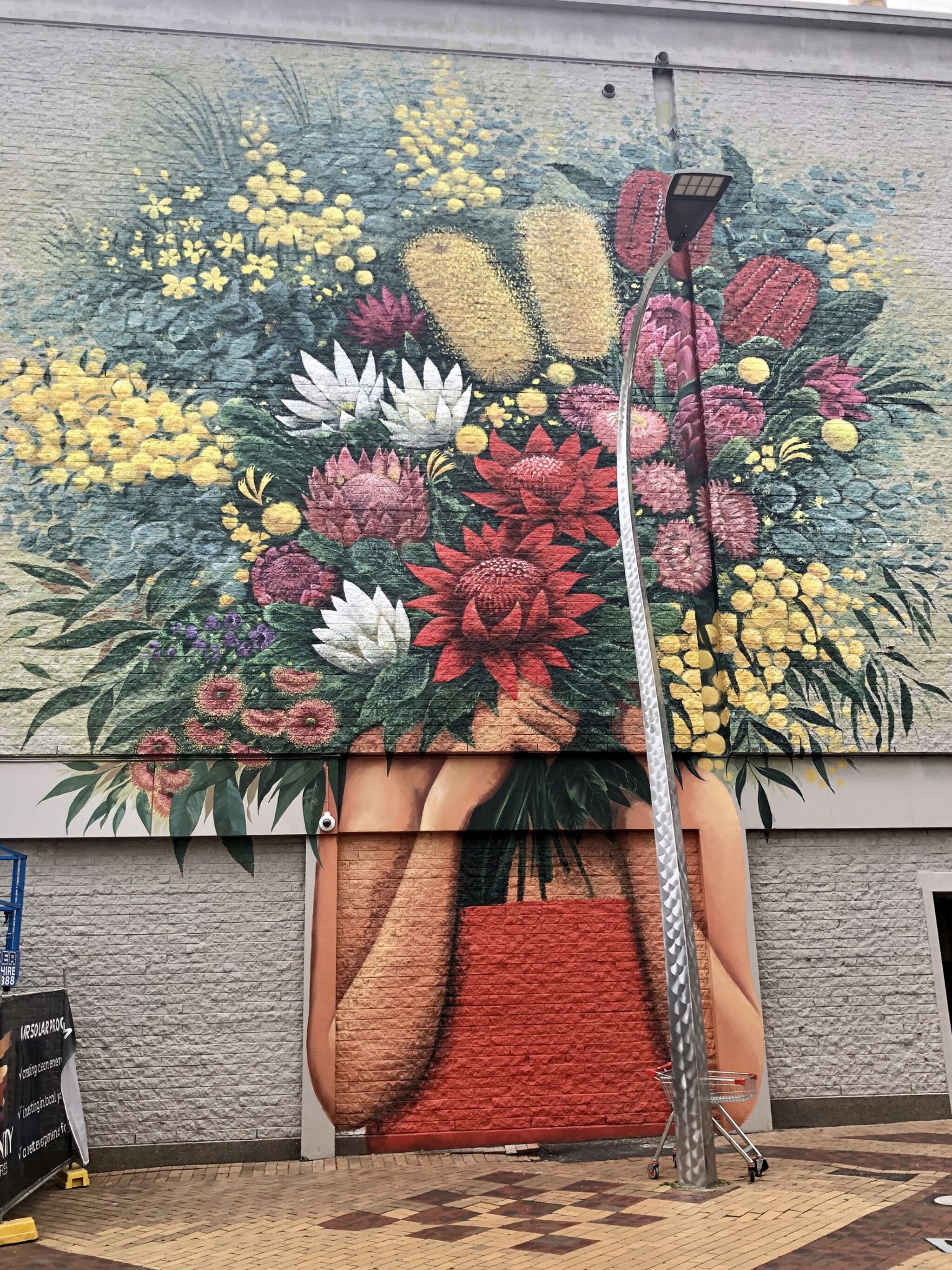 Melbournes Murals&mdash;Flower Girl