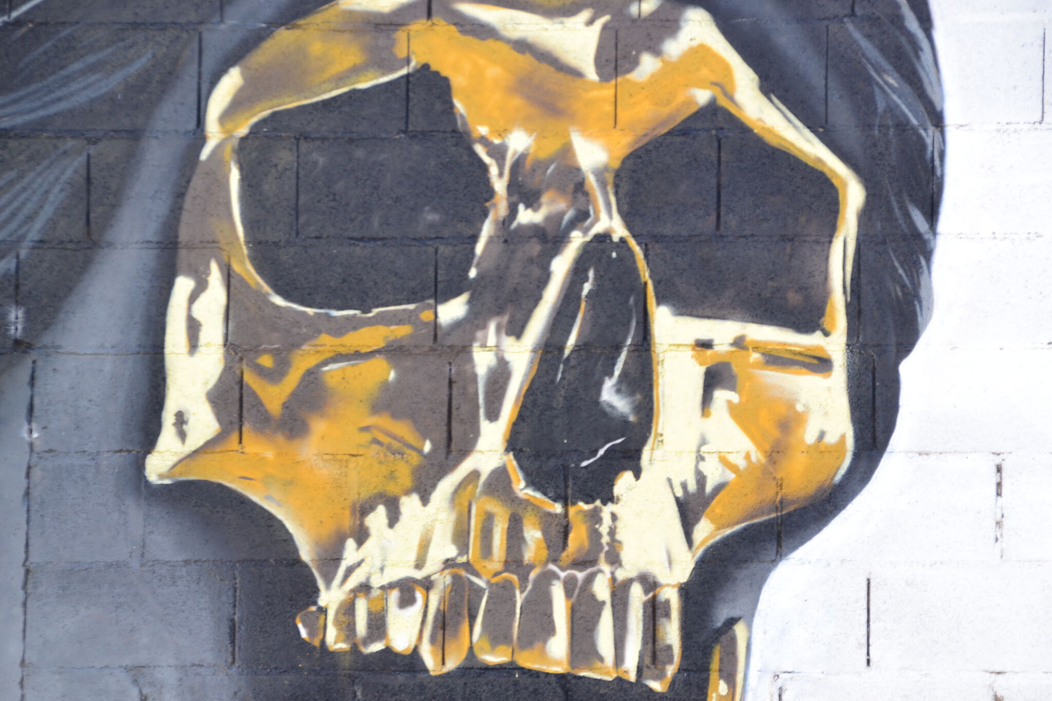 ArtedeAbril&mdash;Golden Skull