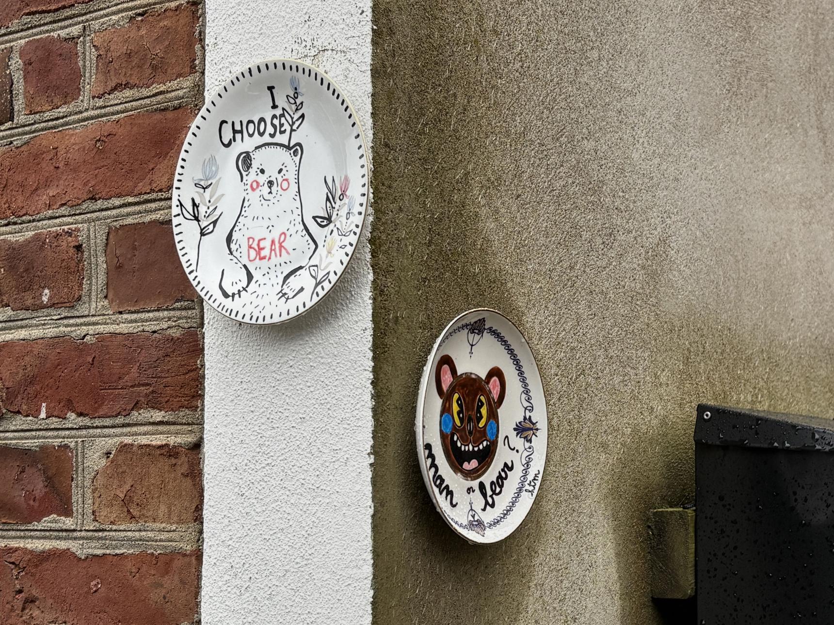 Dish, Hello the Mushroom—Man or Bear?