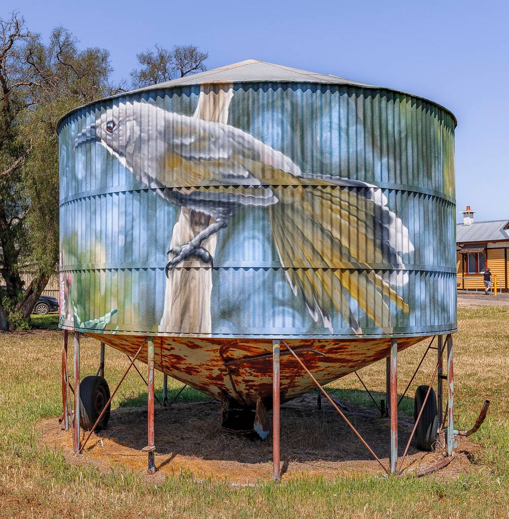 Feed item