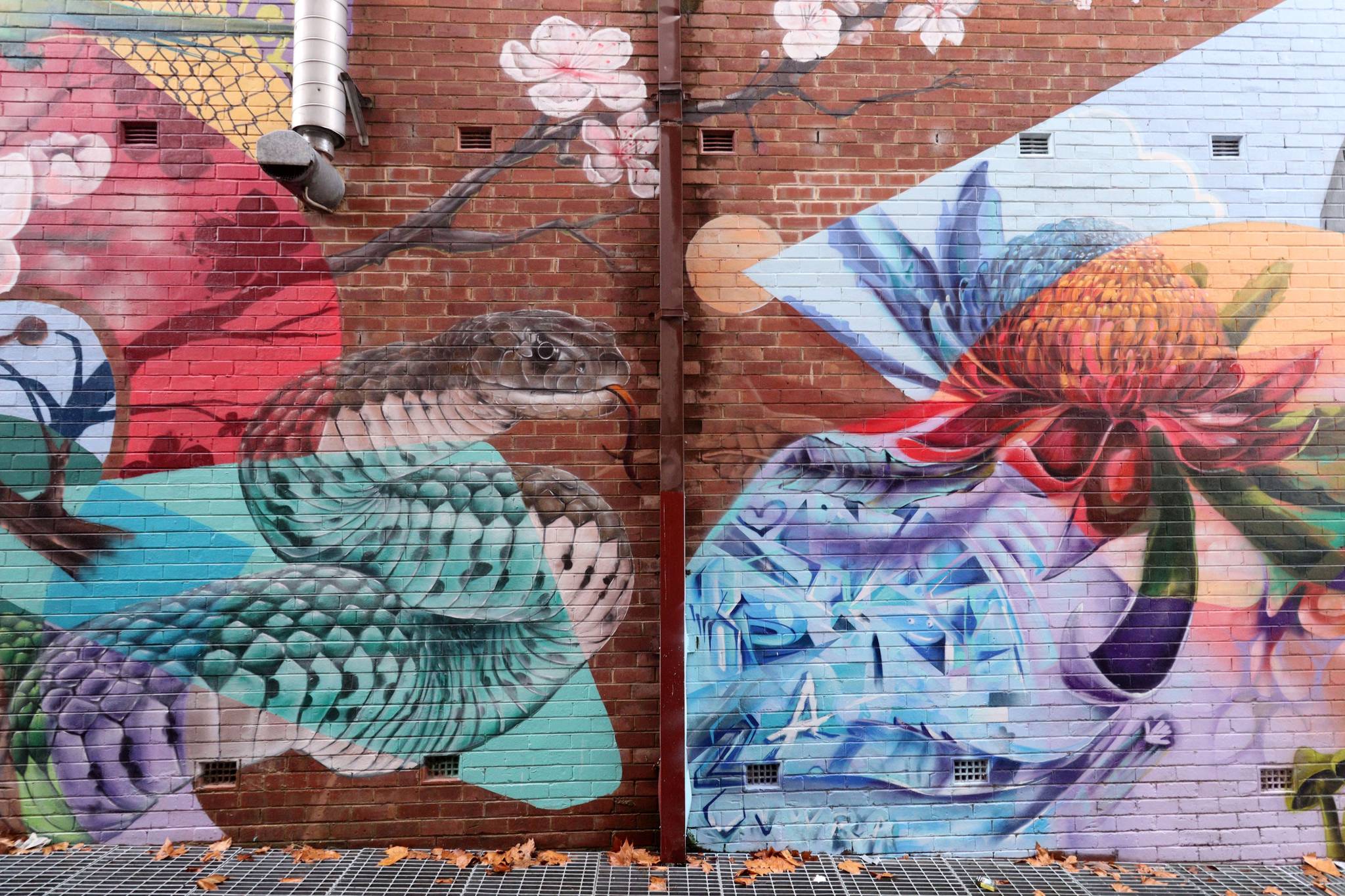 The Brightsiders, The Zookeeper, Drapl&mdash;Cowra Laneway Mural