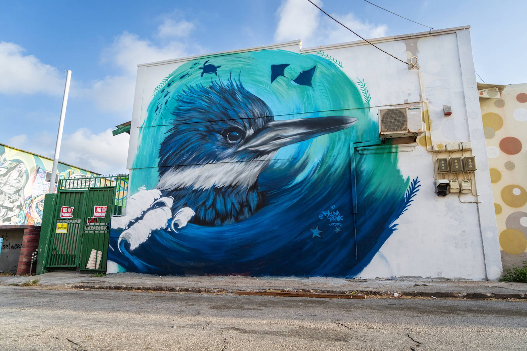 Faunagraphic&mdash;Aruba Art Week - Belted kingfisher