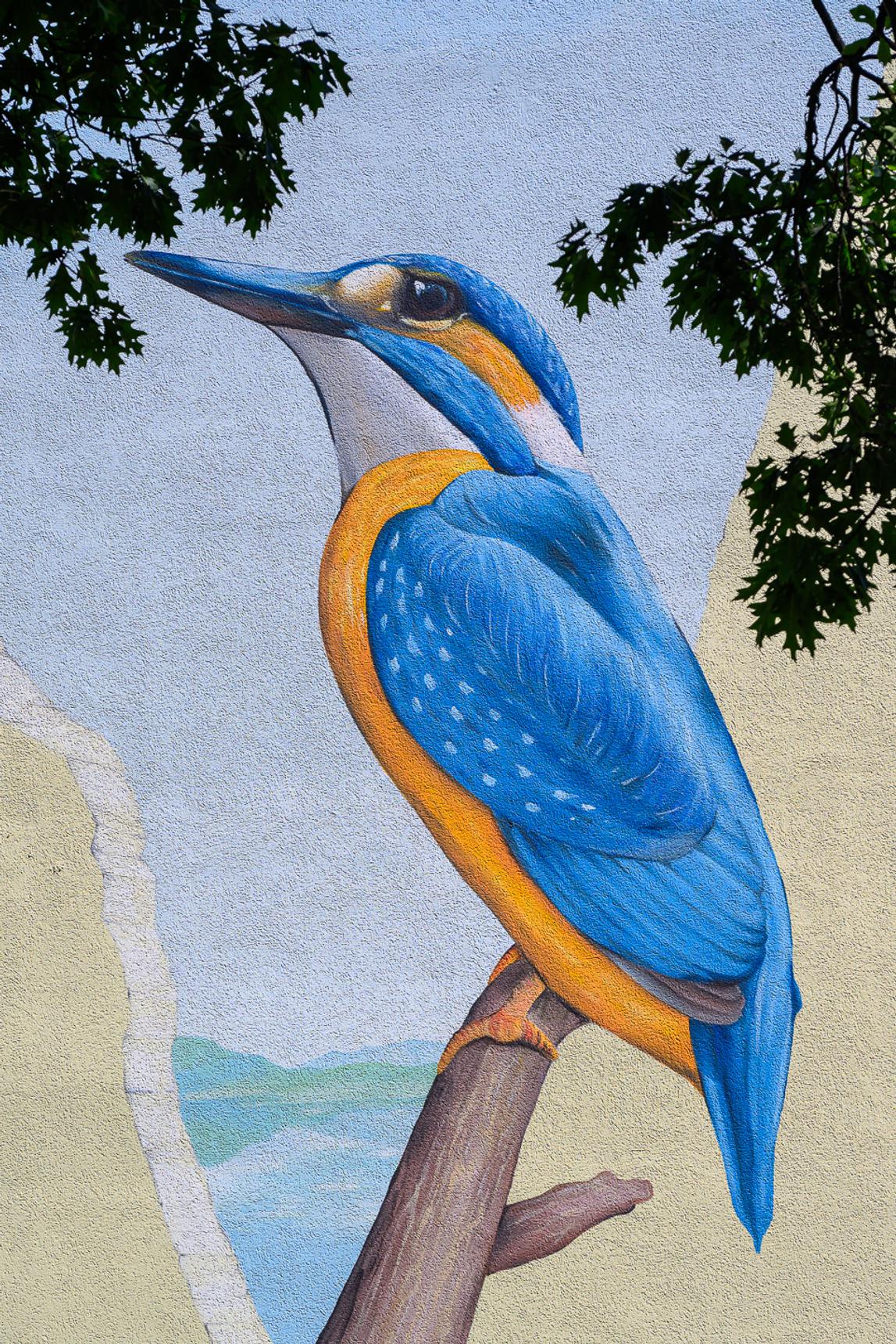 Nasim Naji—Eisvogel