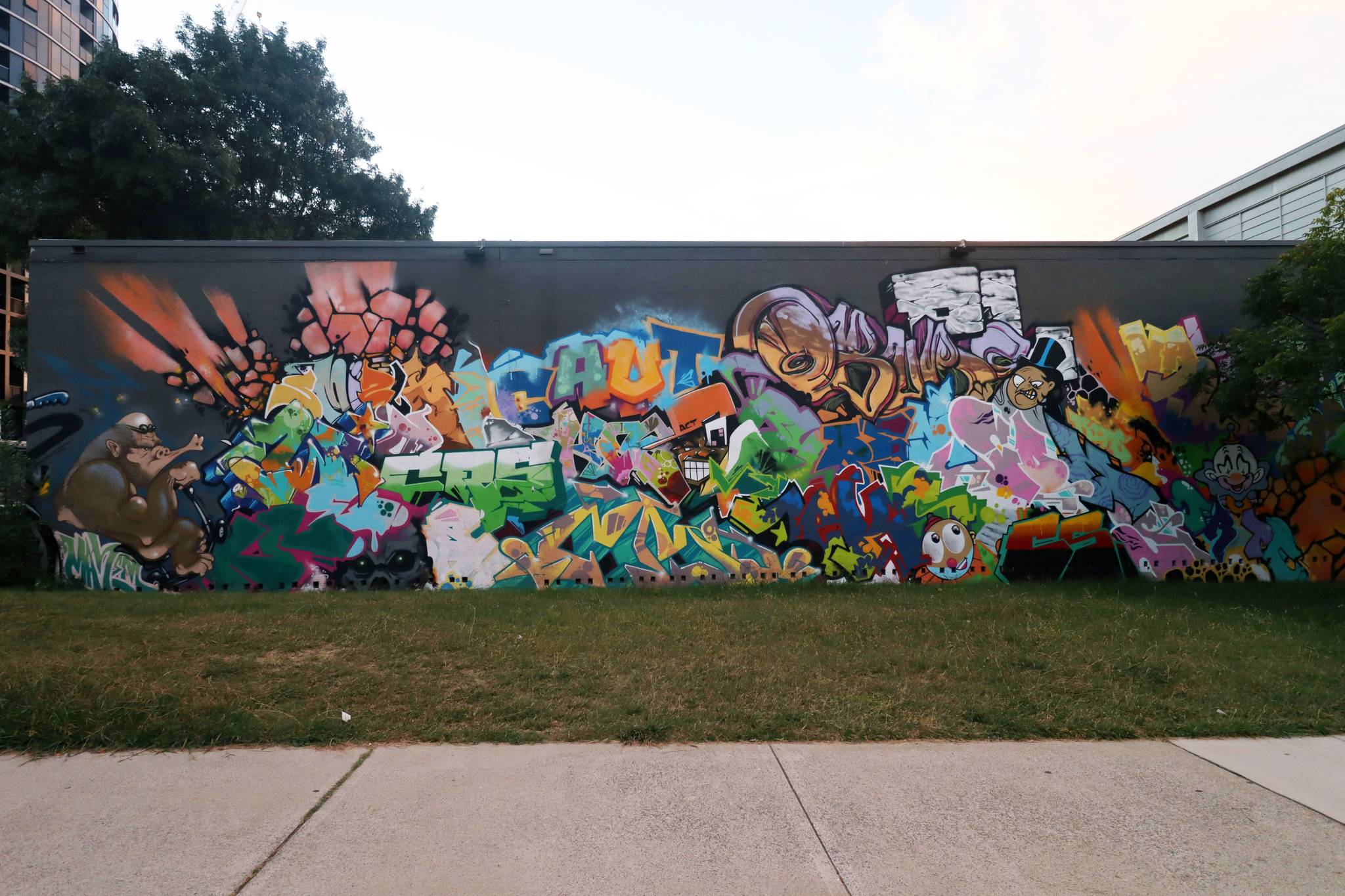 Unknown - Canberra&mdash;Graffiti Hall of Fame