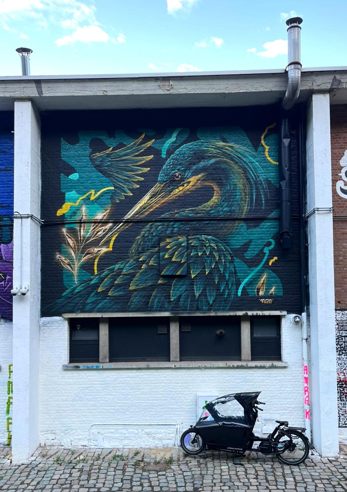 TUZQ—Golden Veil