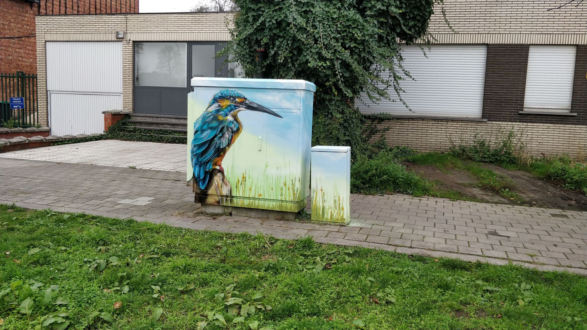 Bird, Treepack&mdash;Tour Elentrik - Kingfisher