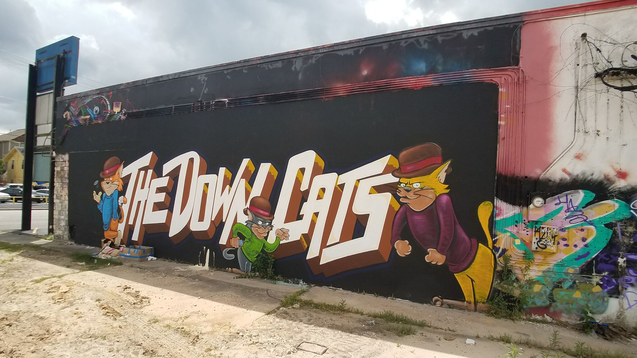 Unknown&mdash;The Down Cats