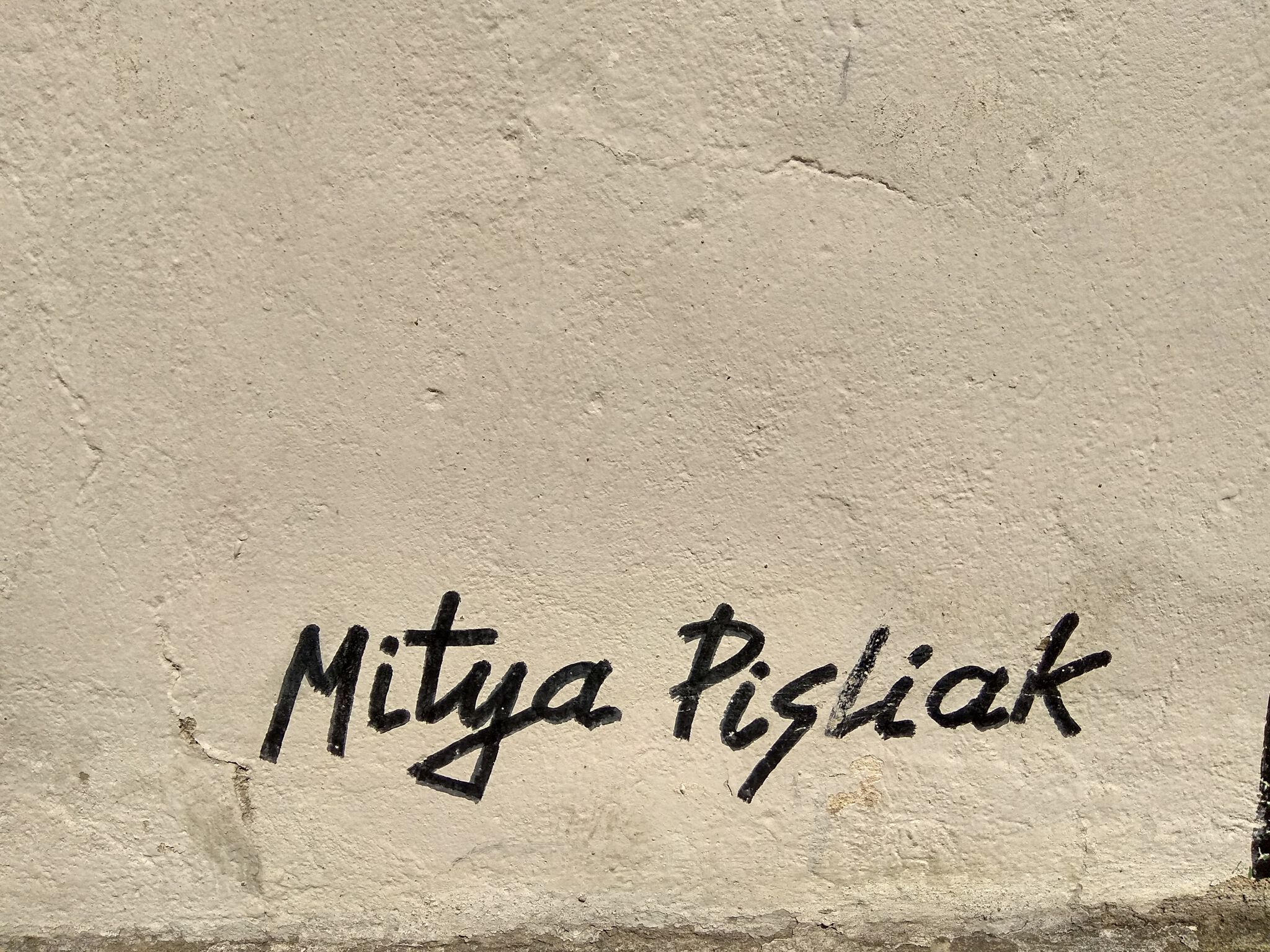 Mitya PisliaK&mdash;Art project - March cats