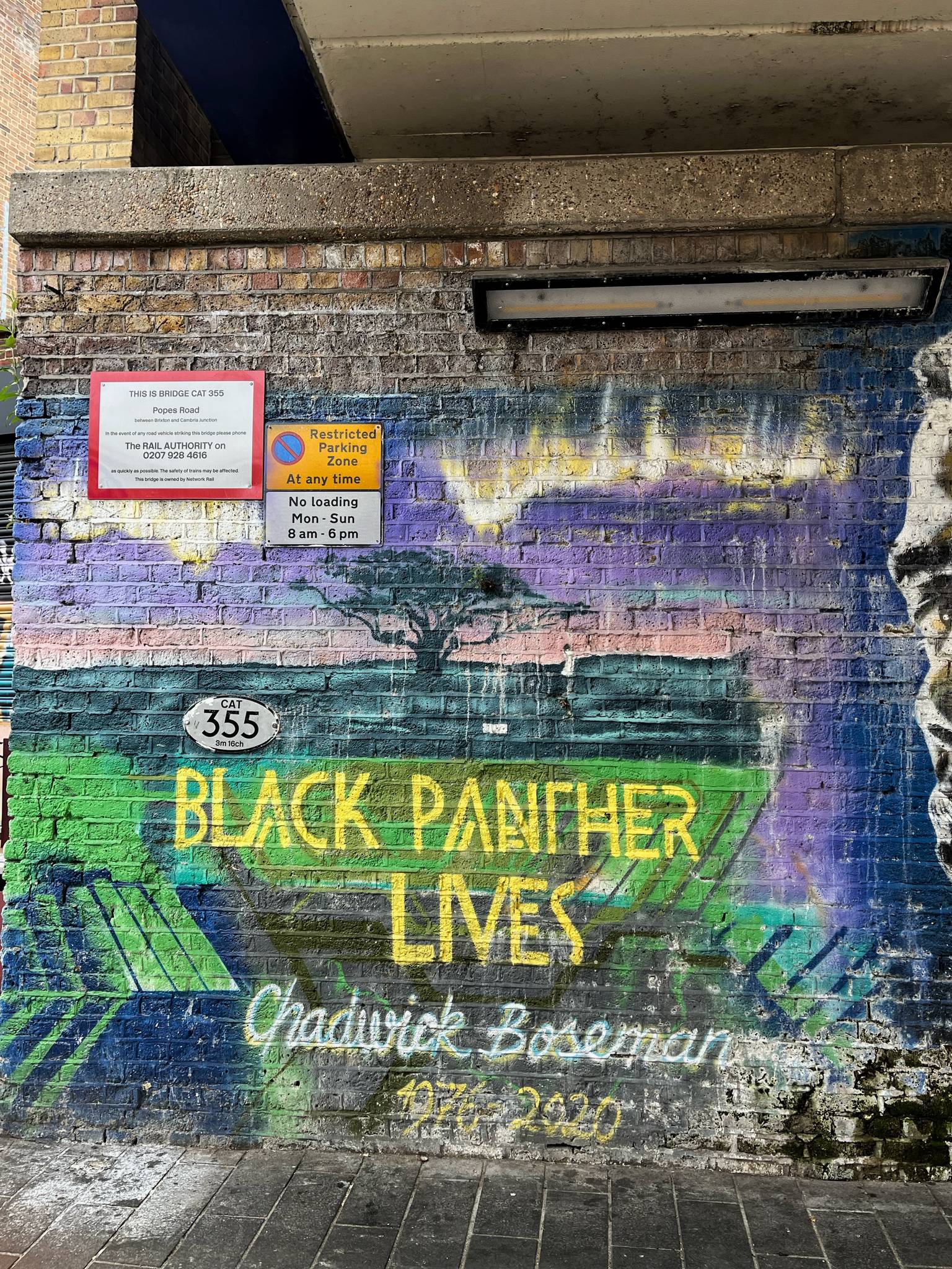 The Artful Dodger&mdash;Black Panther Lives