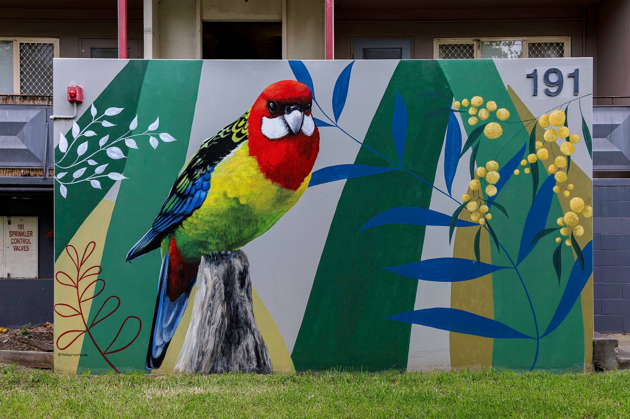 Melbourne's Murals&mdash;Eastern Rosella