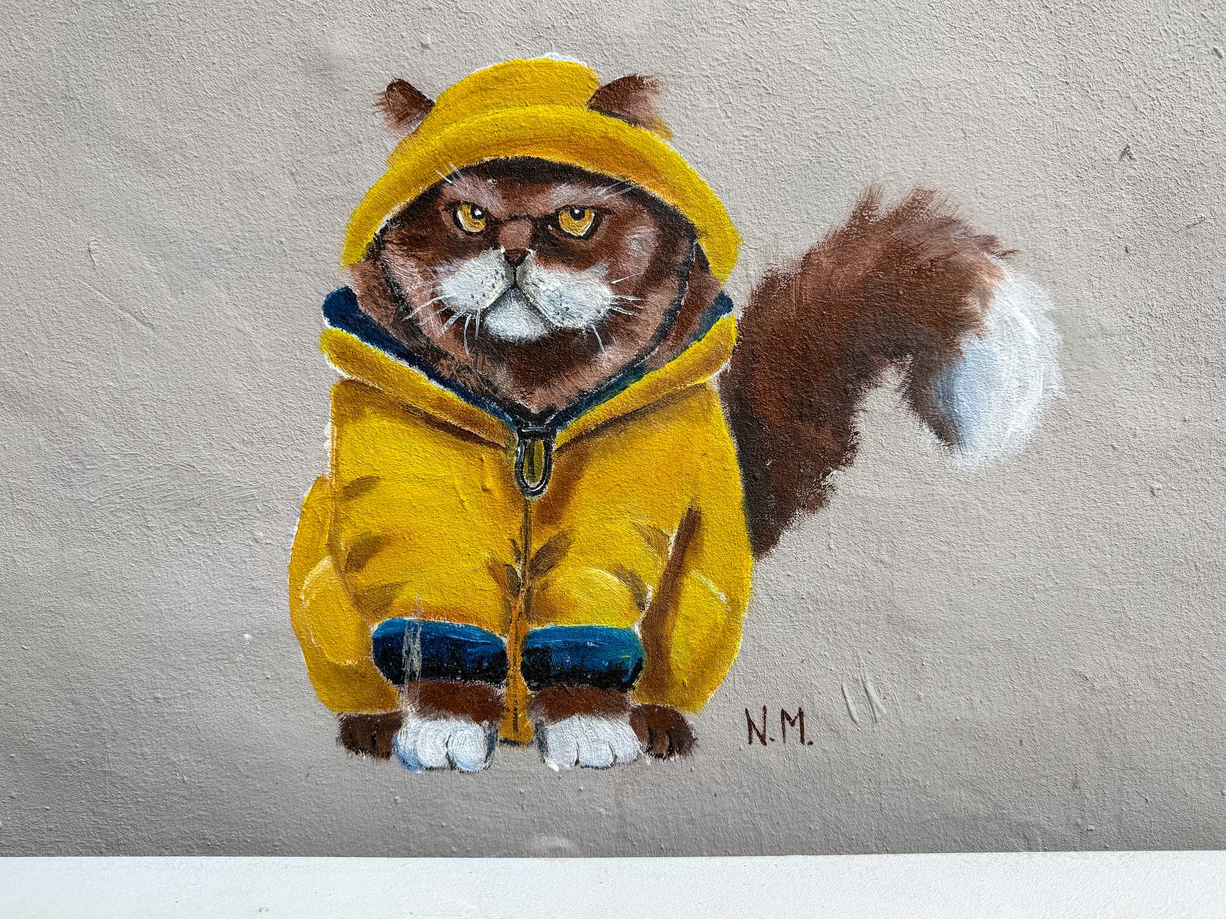 N.M.—Miezes Wetter
