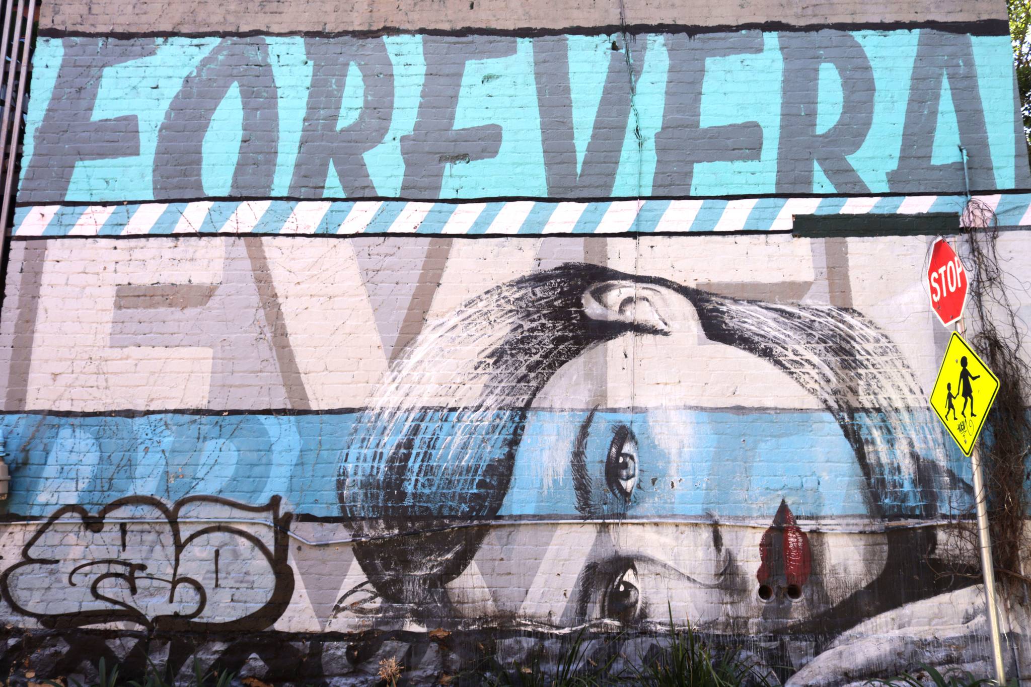 Funskull, Rone&mdash;Forever and Ever Dreamer