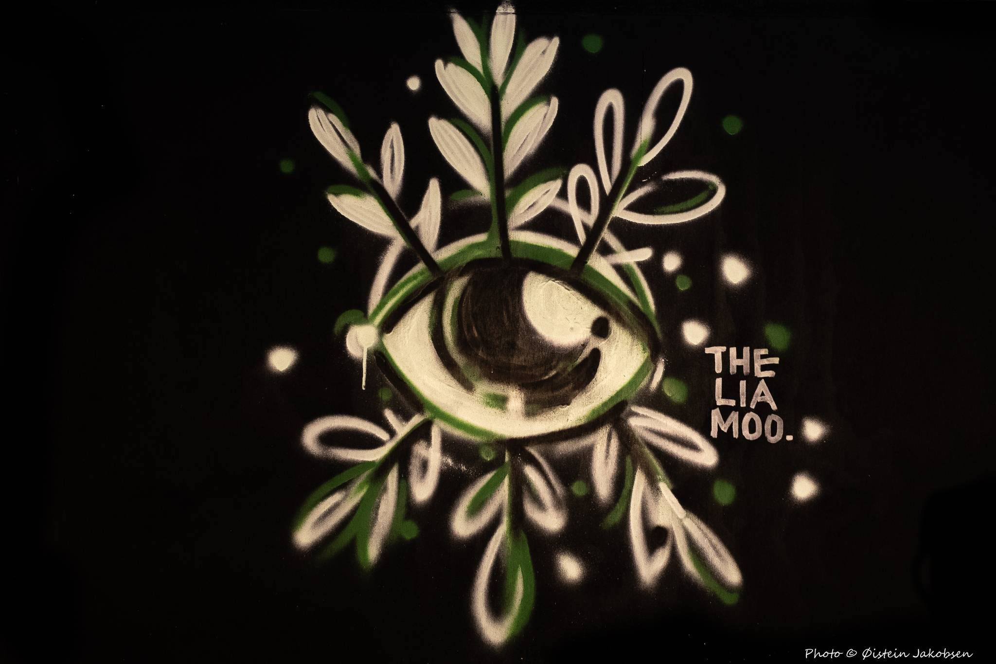 The LIAMOO&mdash;Flower eye