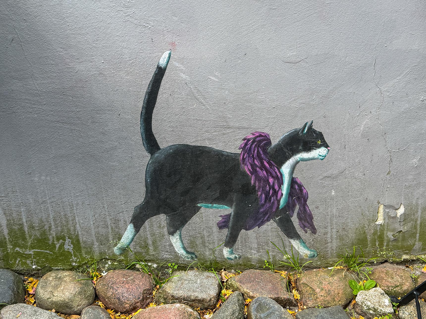 N.M.—Stola-Katze
