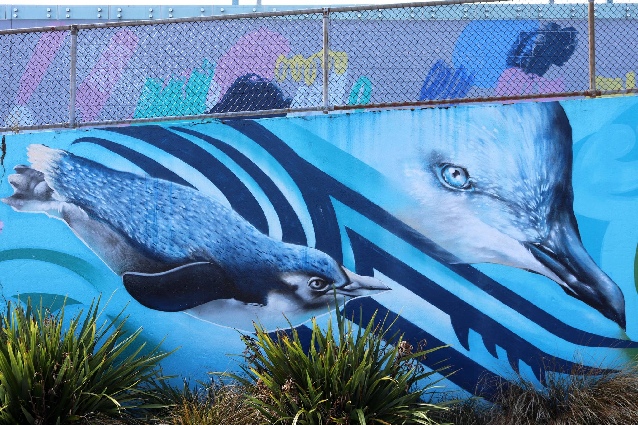 Dcypher, Wongi 'Freak' Wilson, Ikarus, Jacob Yikes&mdash;Lyttelton Skate Park