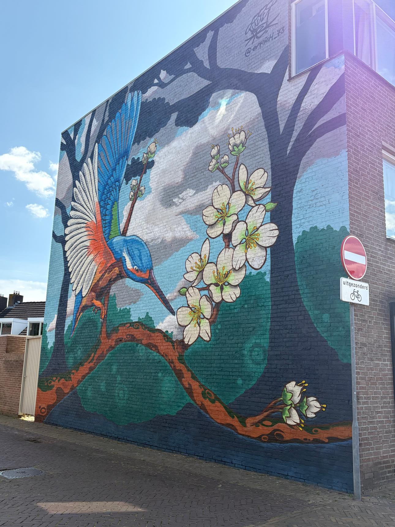 enrich_73—Kingfisher