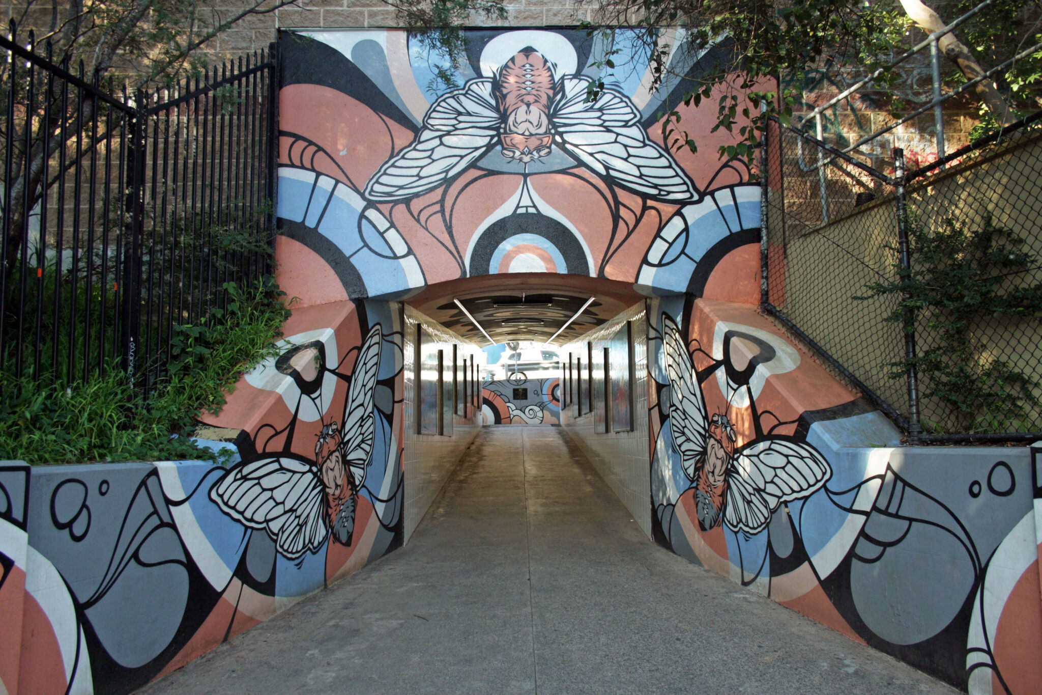 Phibs&mdash;Cronulla Tunnel Gallery