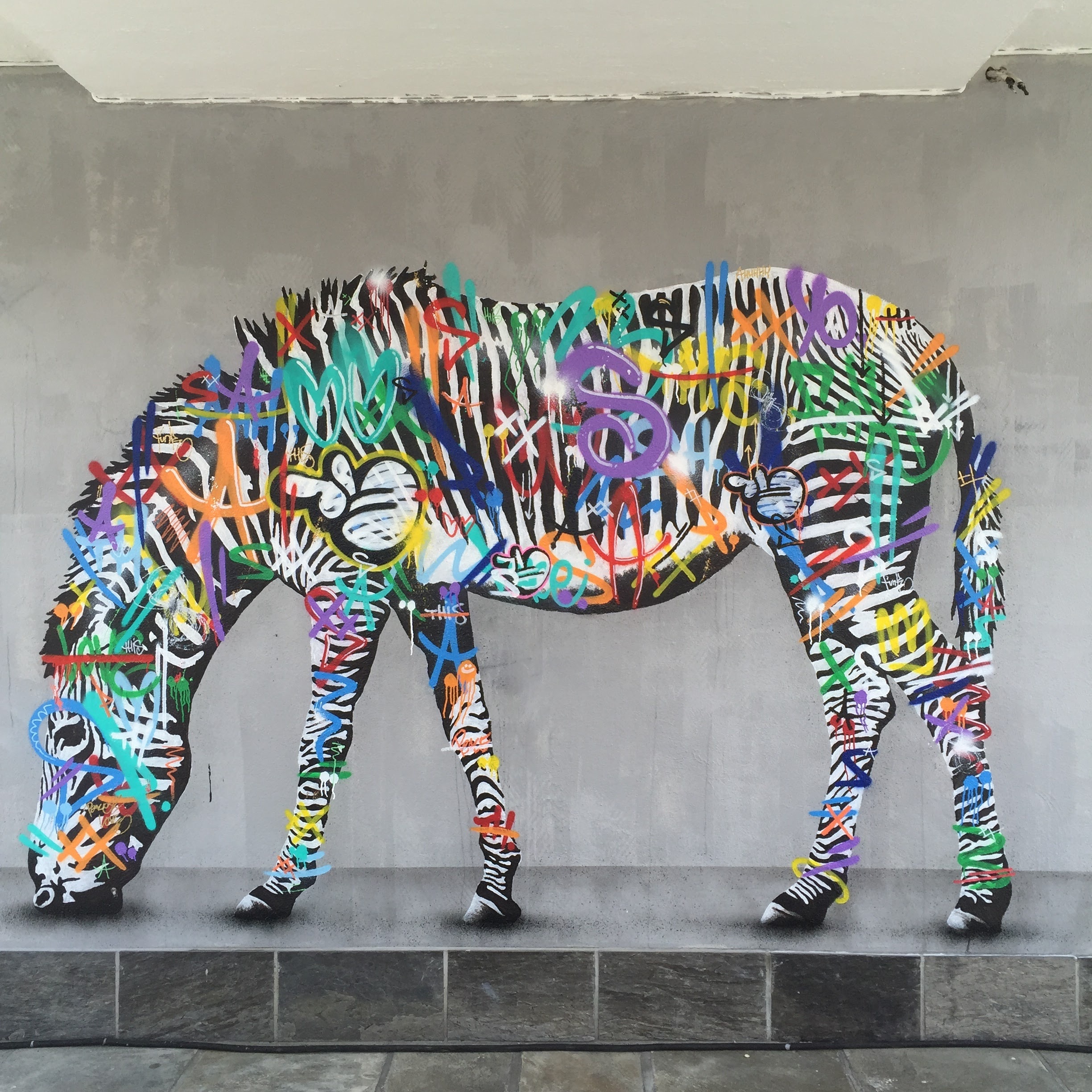 Martin Whatson の「 ZEBRA」 【公式通販】