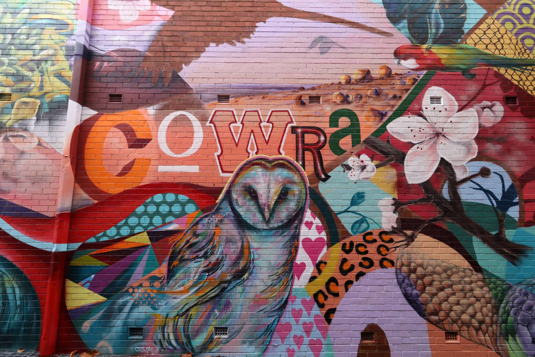 The Brightsiders, The Zookeeper, Drapl&mdash;Cowra Laneway Mural