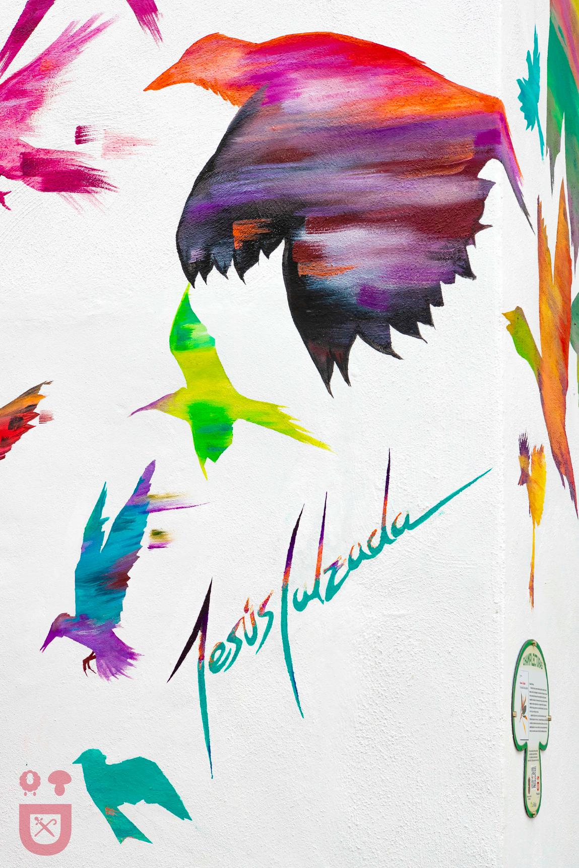 Jesús Calzada—Volando alto / Flying high