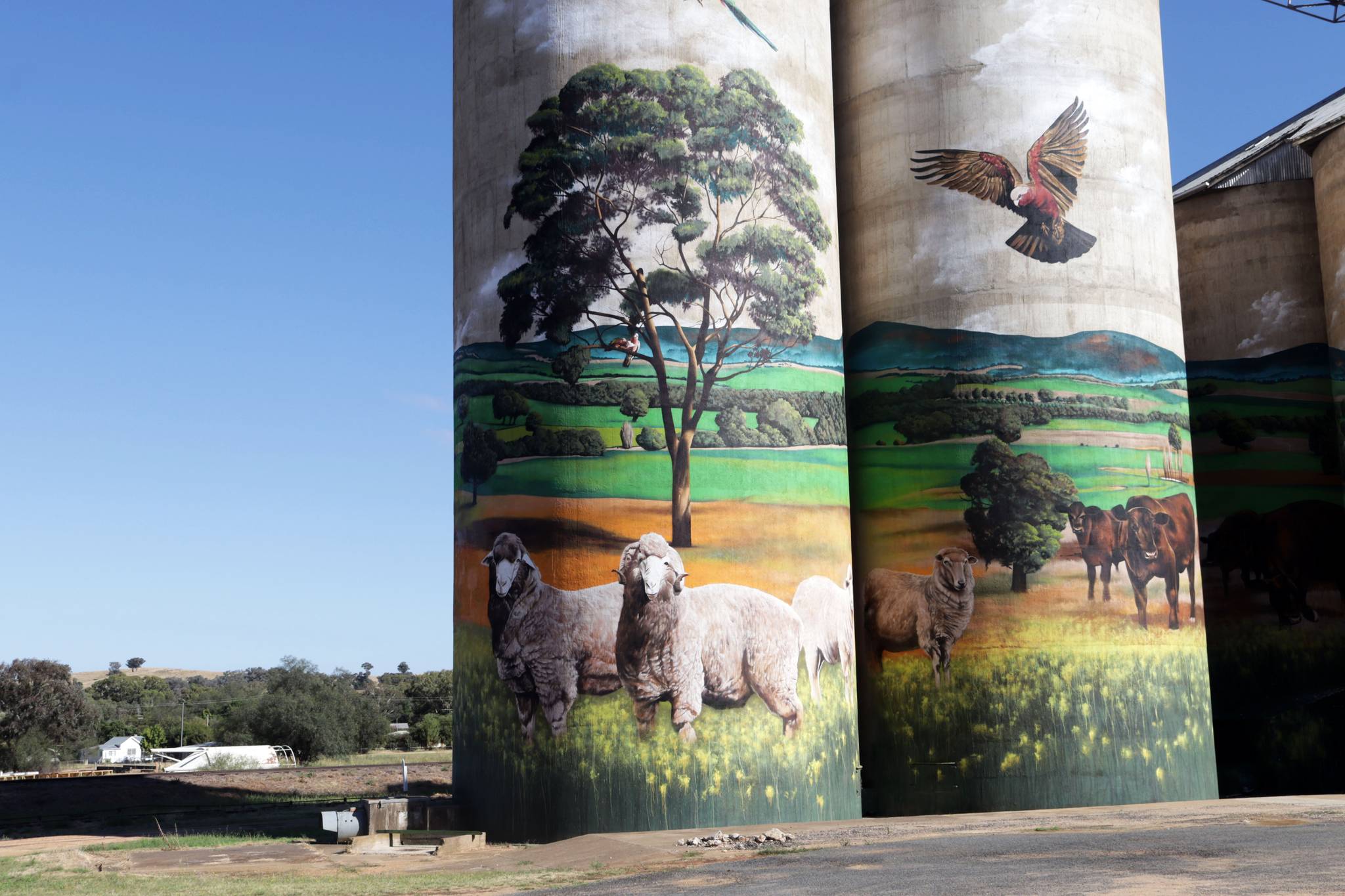 Heesco&mdash;Grenfell Silo Artwork