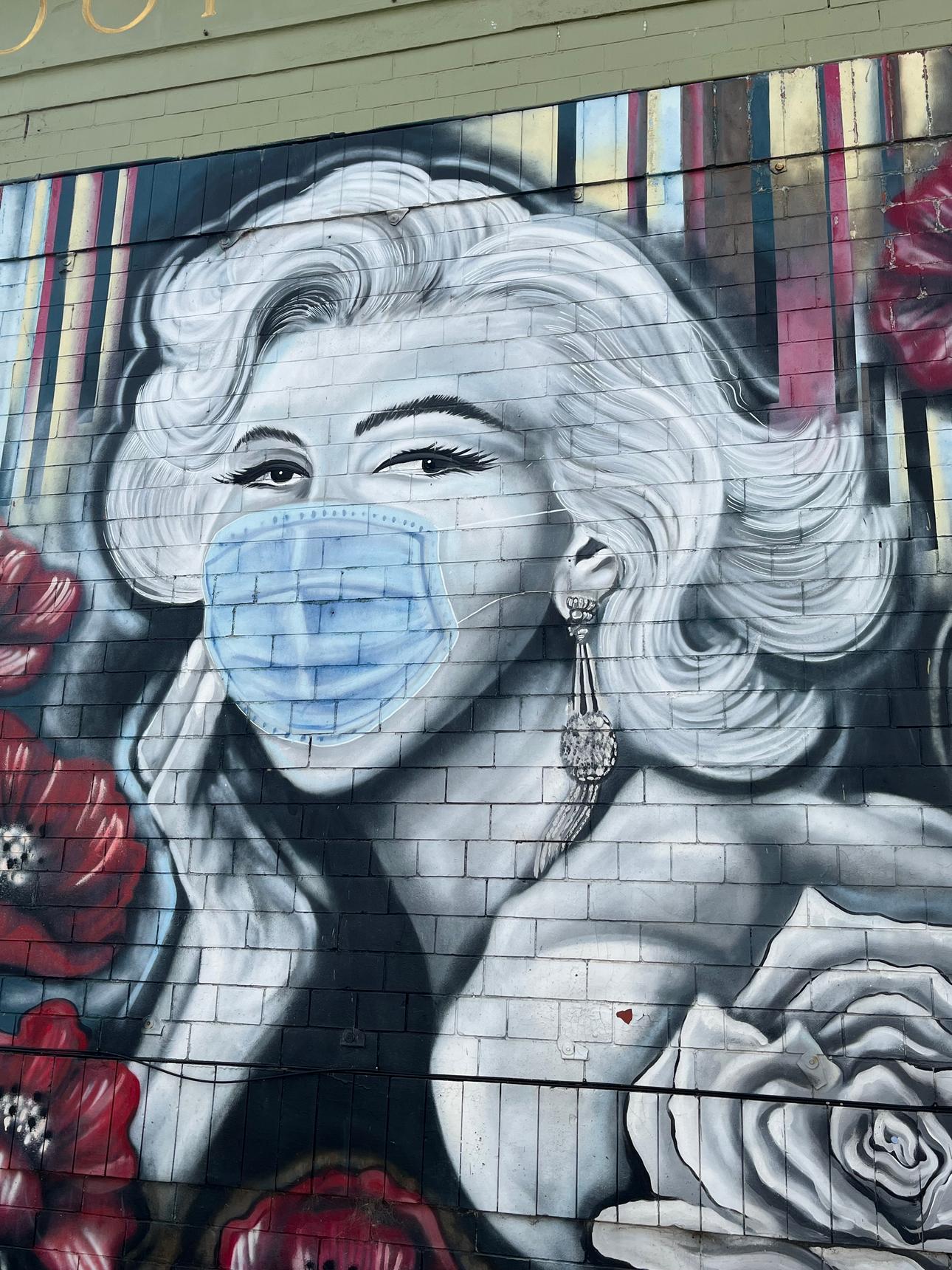 Satchel Haycraft—Marilyn protecting herself from Covid