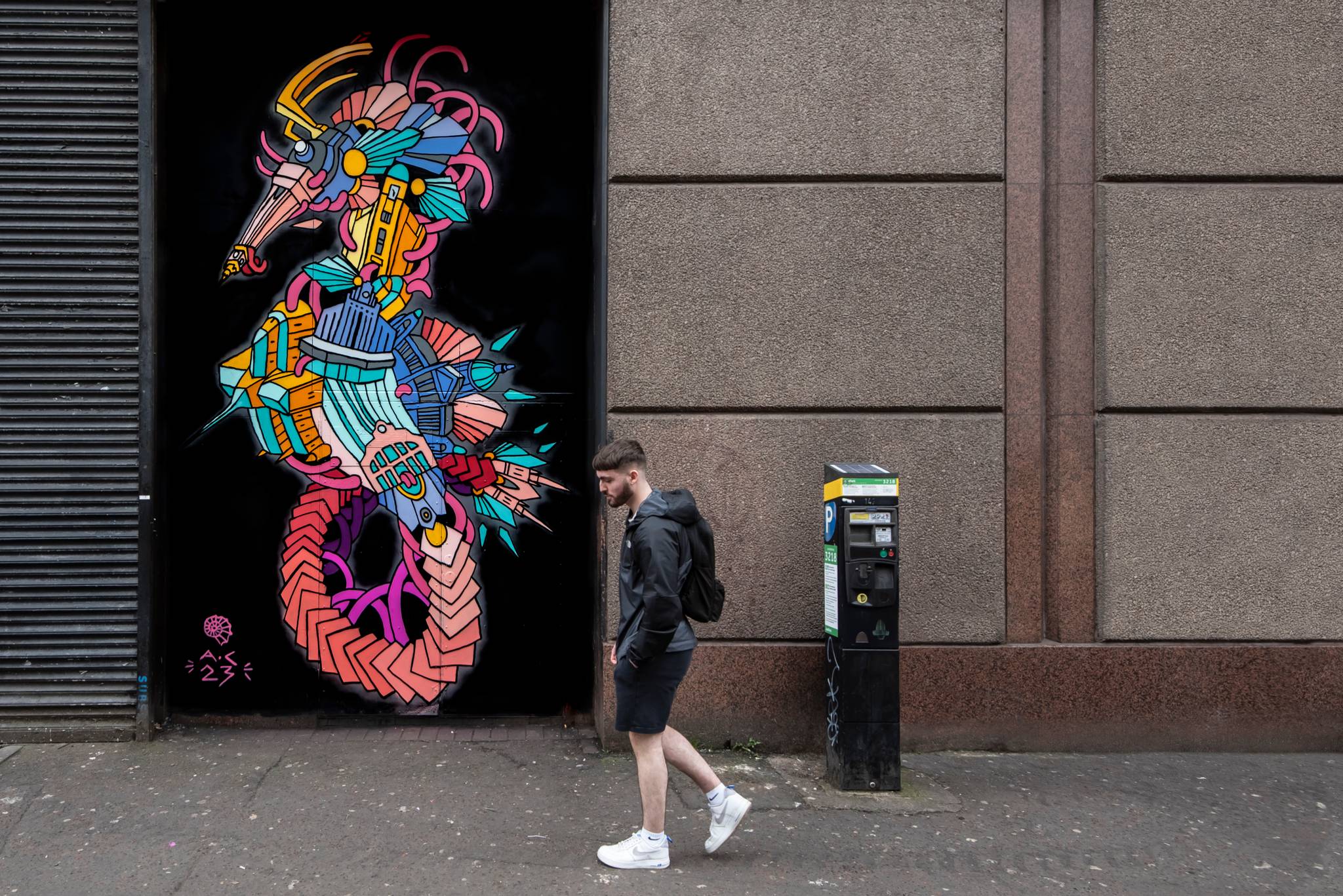 Andy Council&mdash;Belfast Seahorse