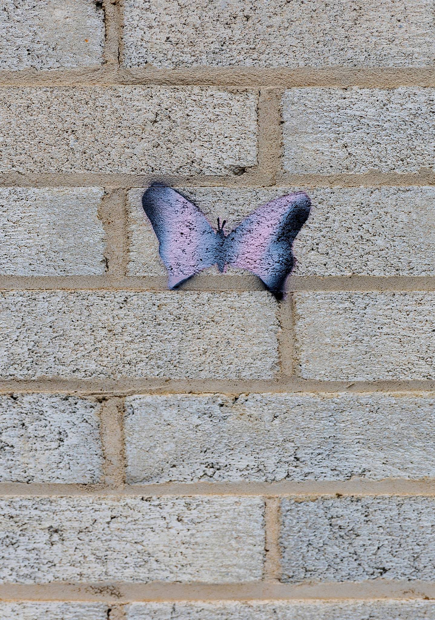 Tom Whitty&mdash;Butterfly Hunter