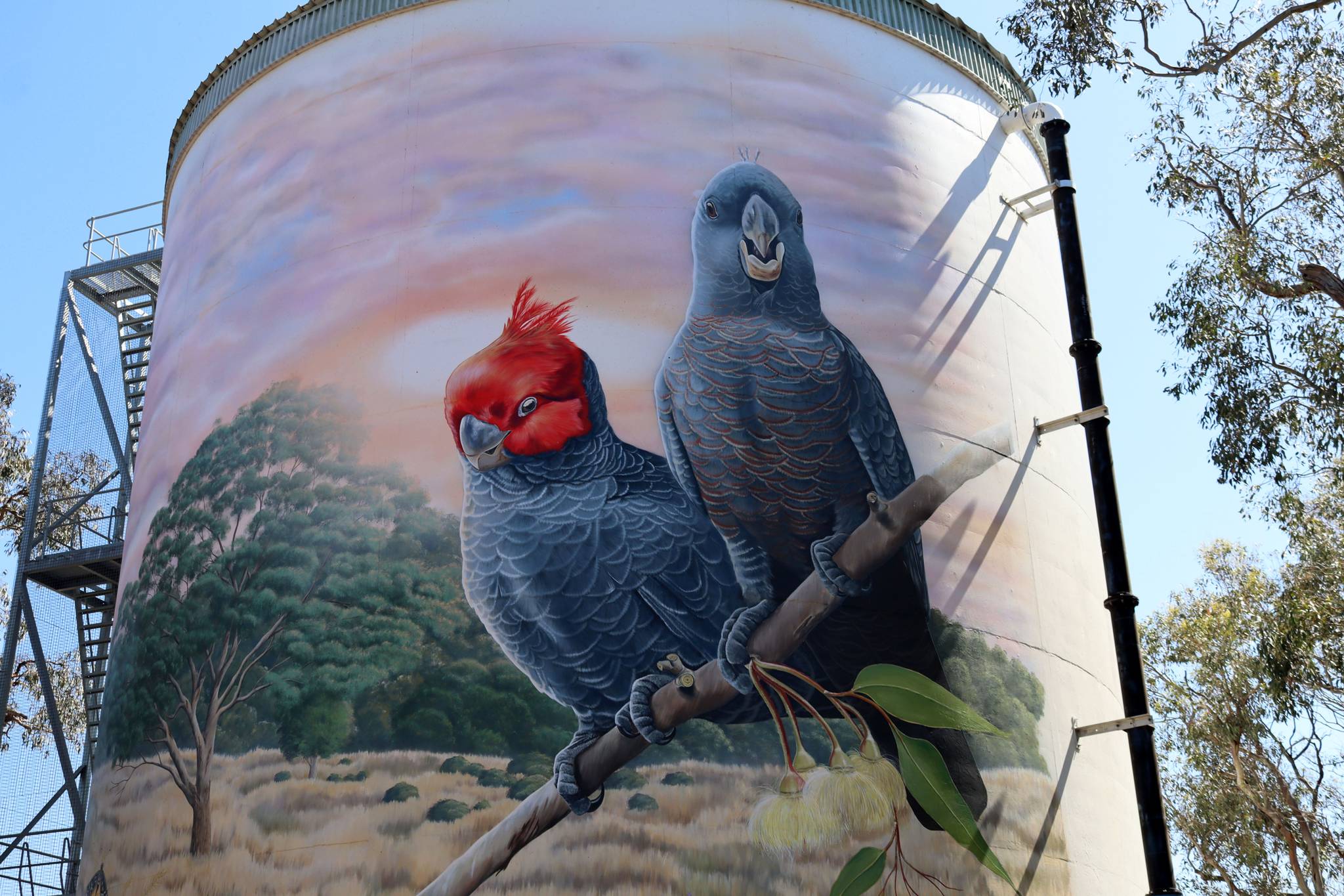 Jimmi Buscombe&mdash;Murrumbateman Water Tank