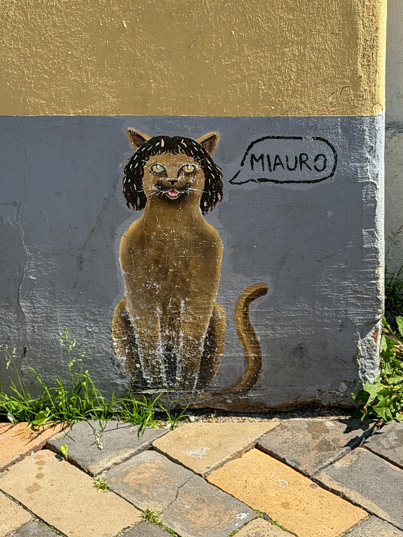 N.M.—Miauro