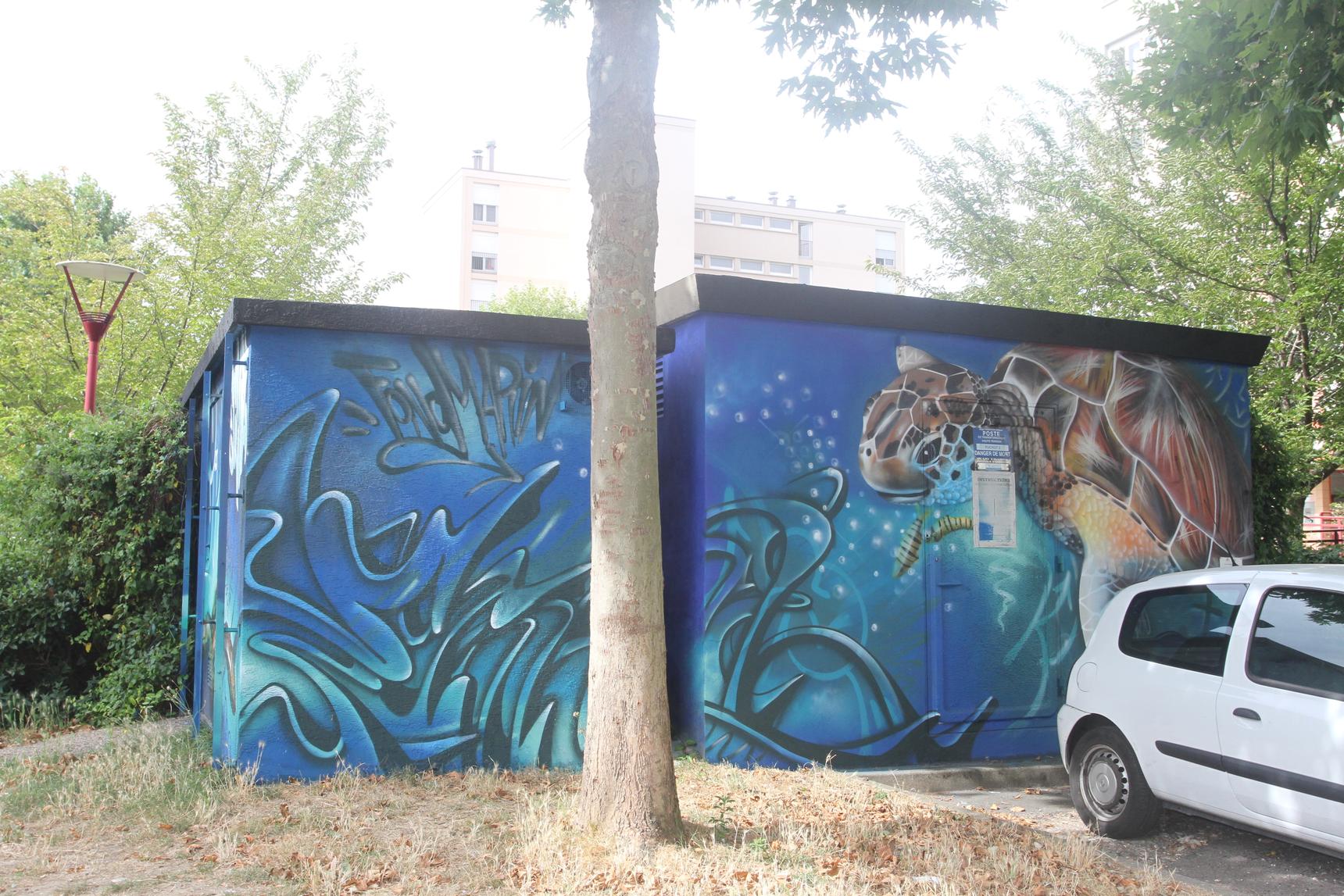 Ecloz—La tortue