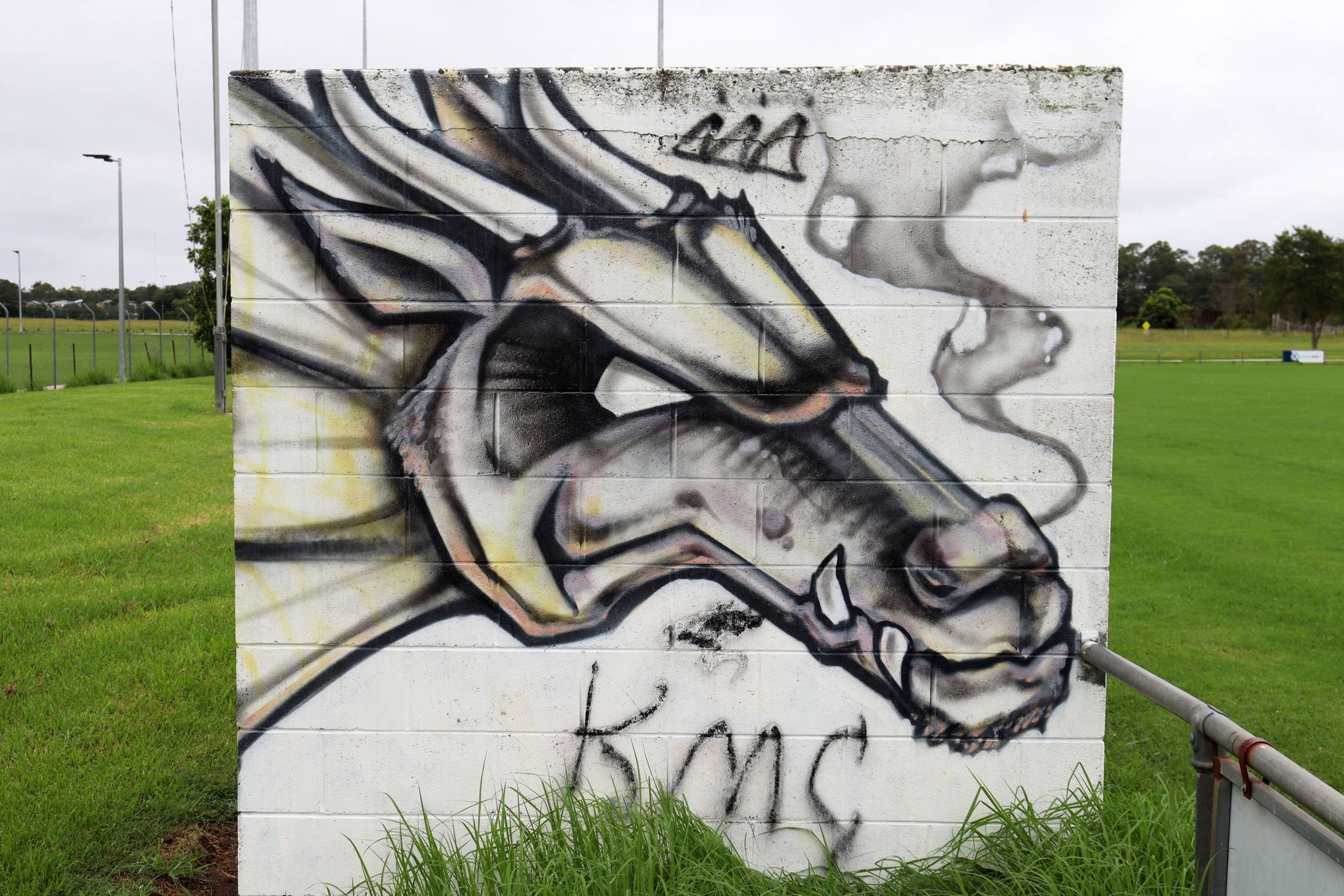 Unknown - Kempsey&mdash;Kempsey Dragon