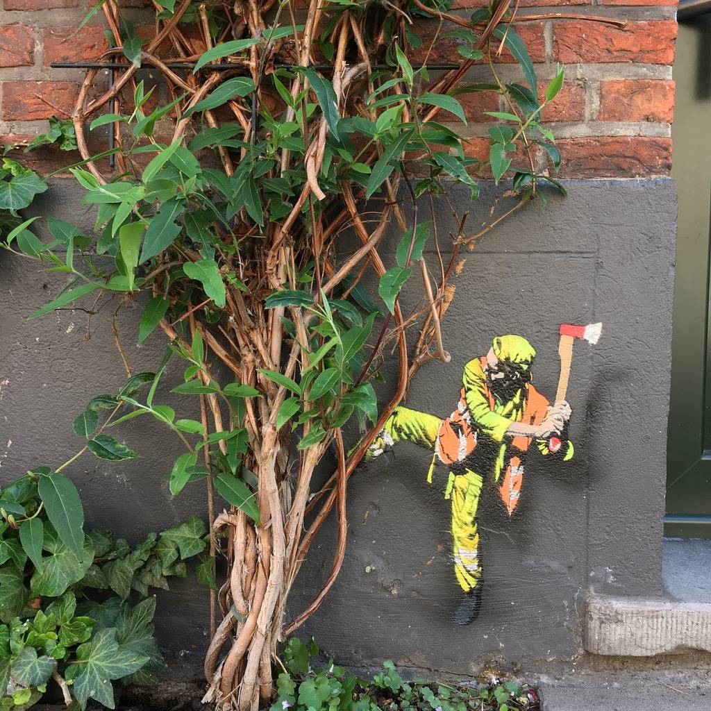 Feed item
