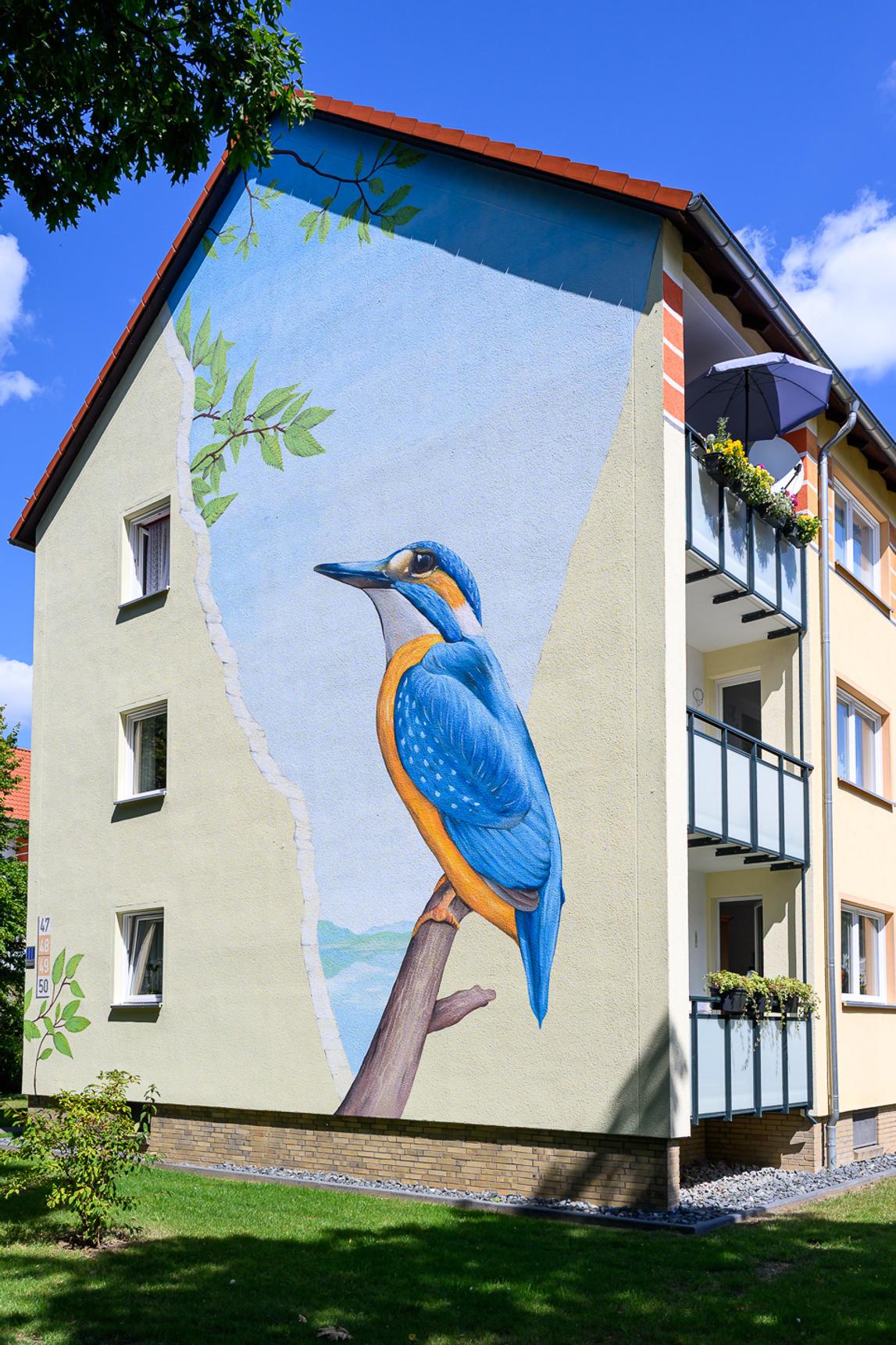 Nasim Naji—Eisvogel