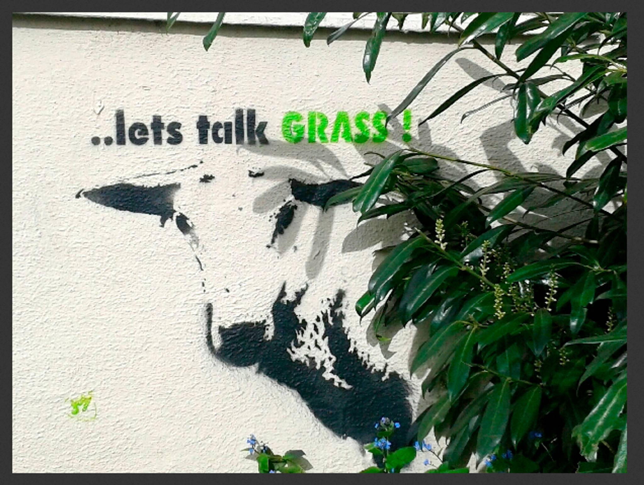 Joy&mdash;... let's talk grass