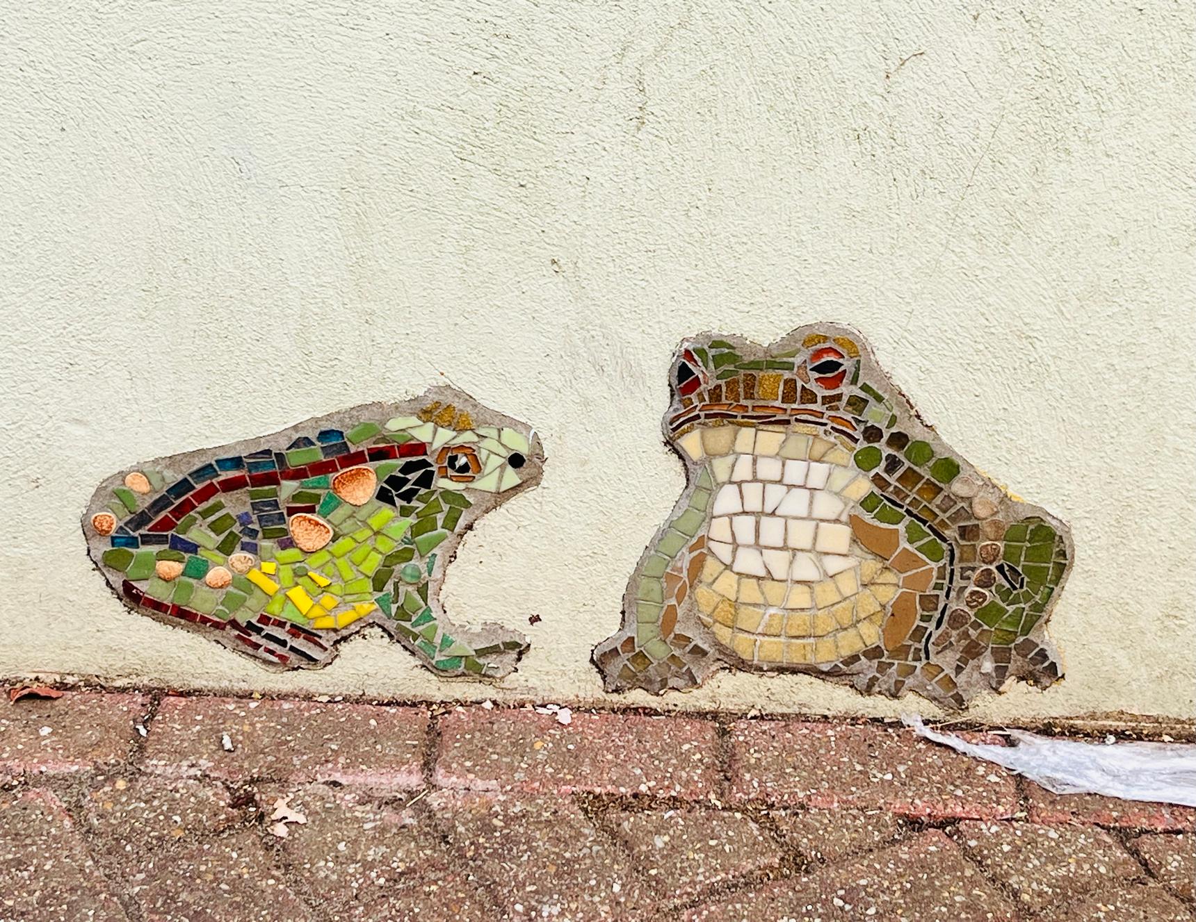 Save The World Club—Wildlife of Kingston