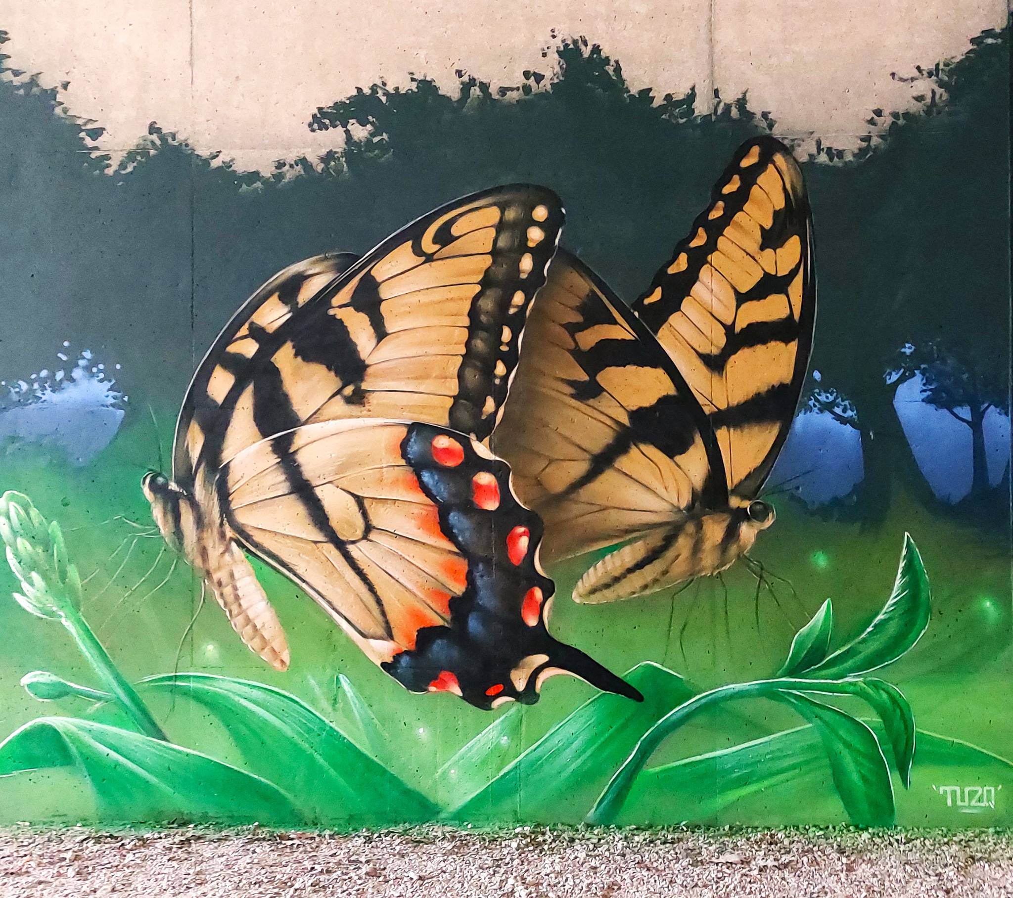 TUZQ&mdash;Swallowtail butterfly