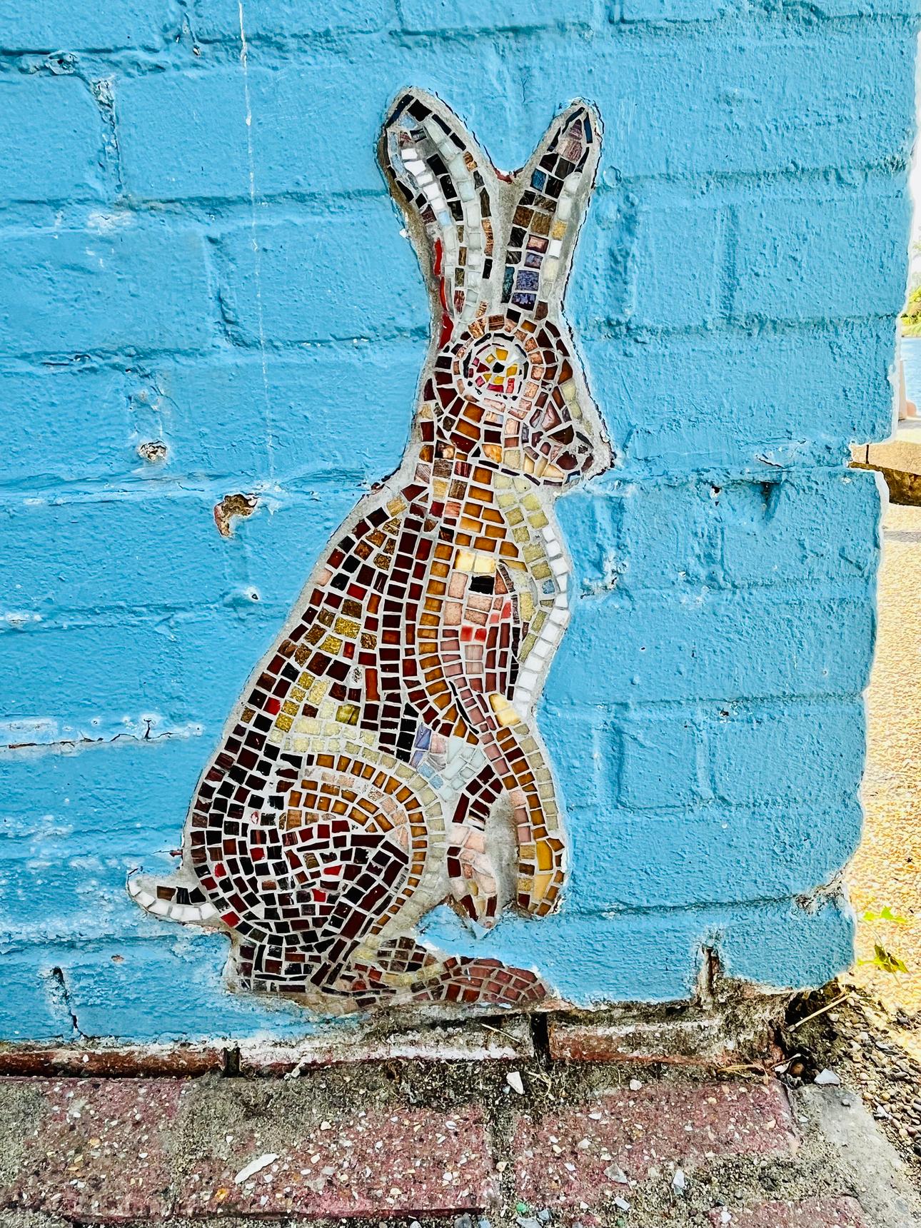 Save The World Club—Wildlife of Kingston