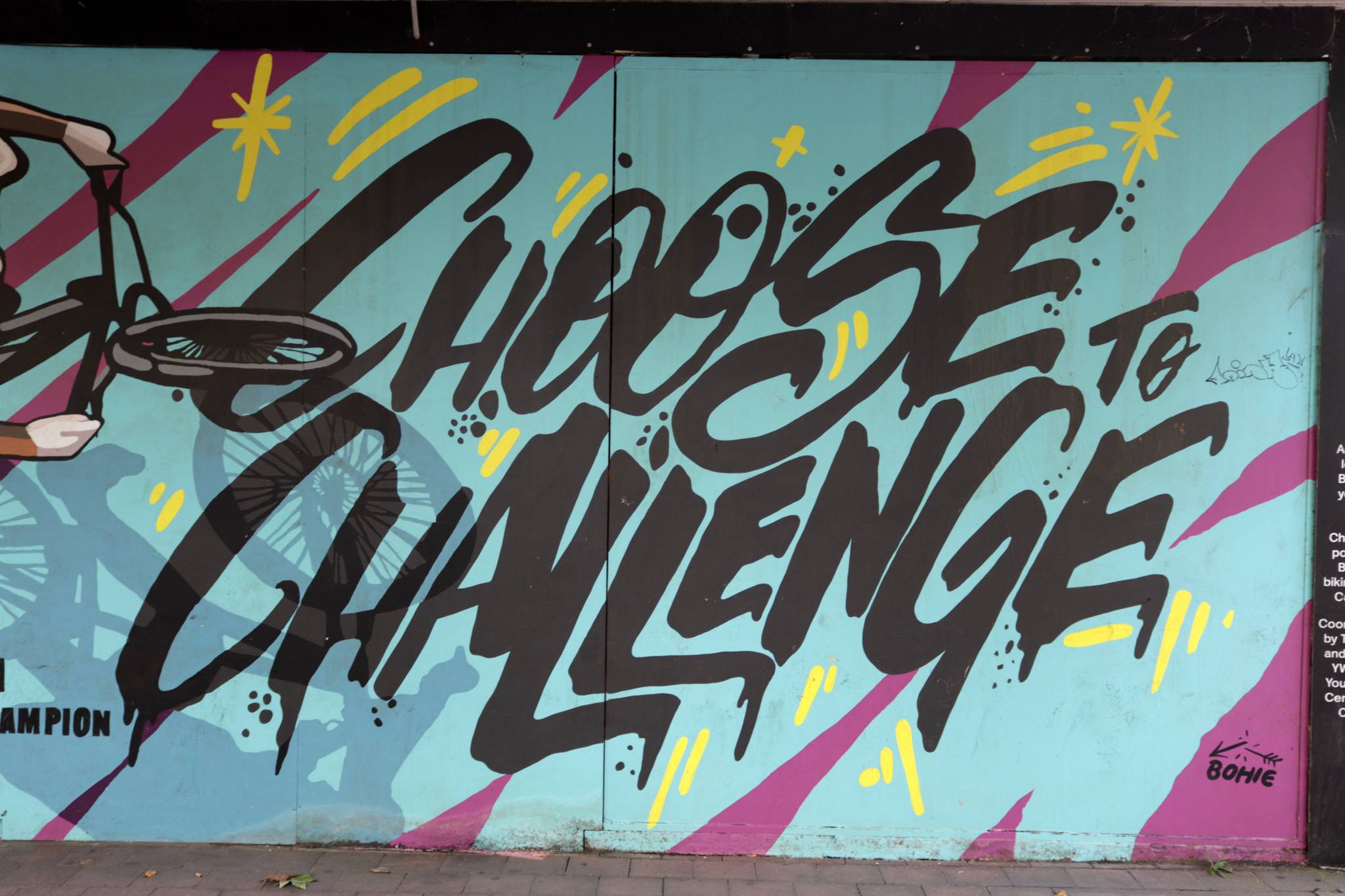 Bohie&mdash;Choose to Challenge