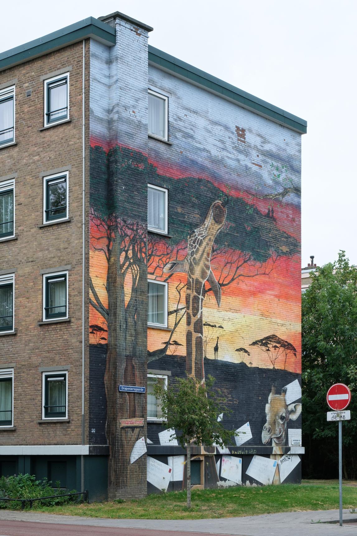 Unknown - Den Haag—De Wensboom (the wishing tree)