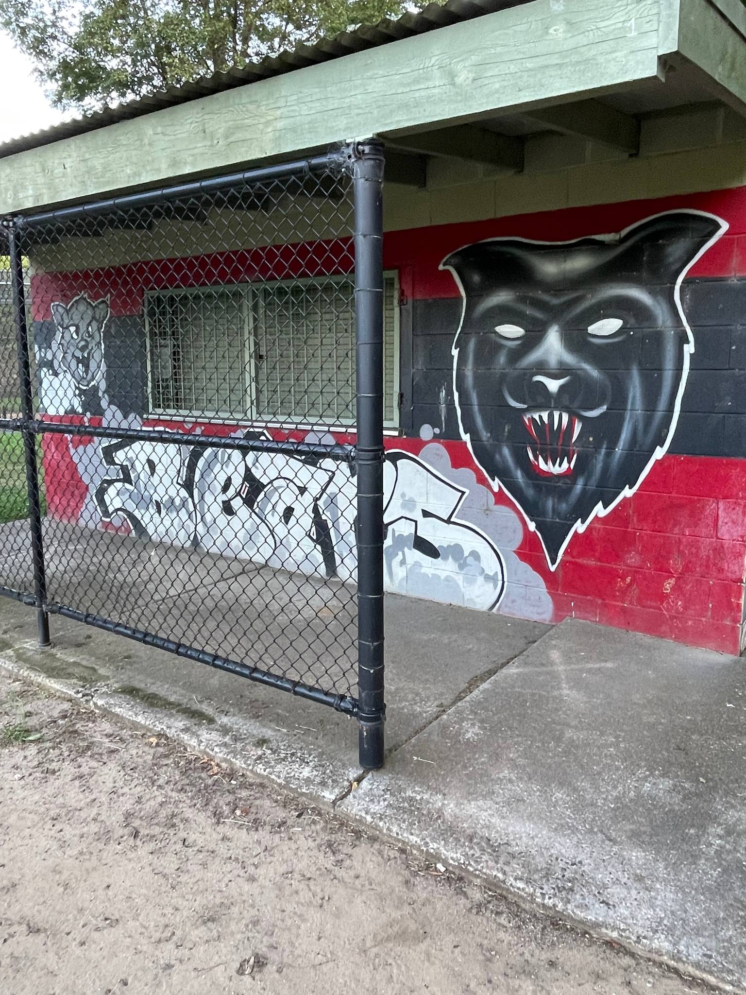 Unknown - Canberra&mdash;Ainslie Bears Mascot