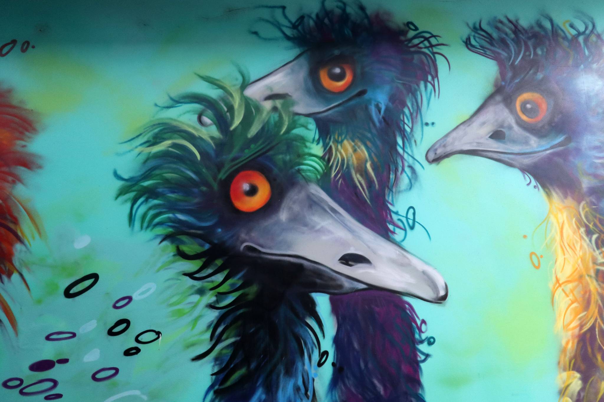 Emus by GraffikPaint - Street Art Cities